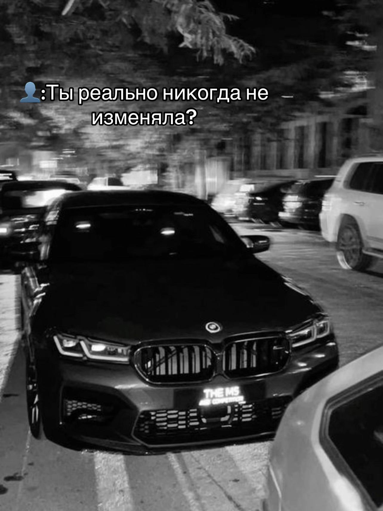 @777_koshka_777_