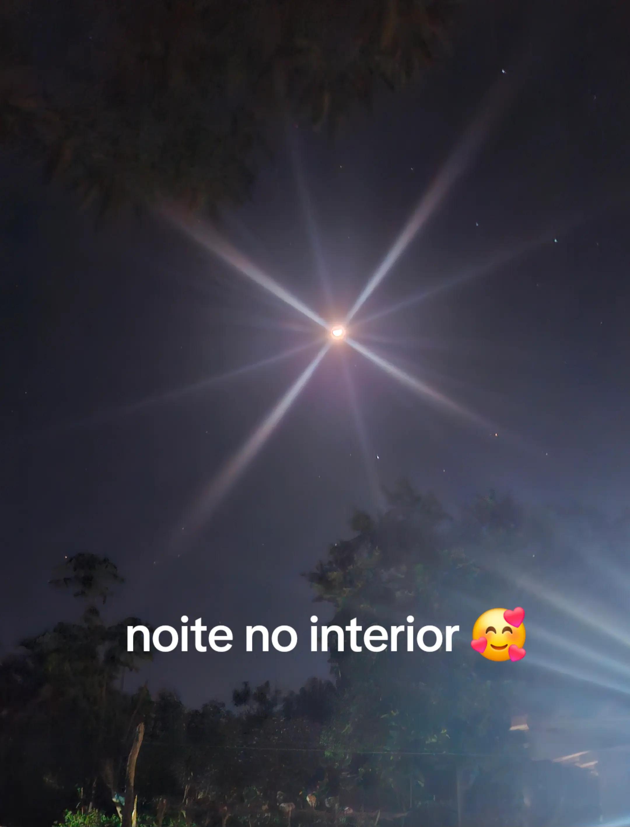 @celiapereira9823