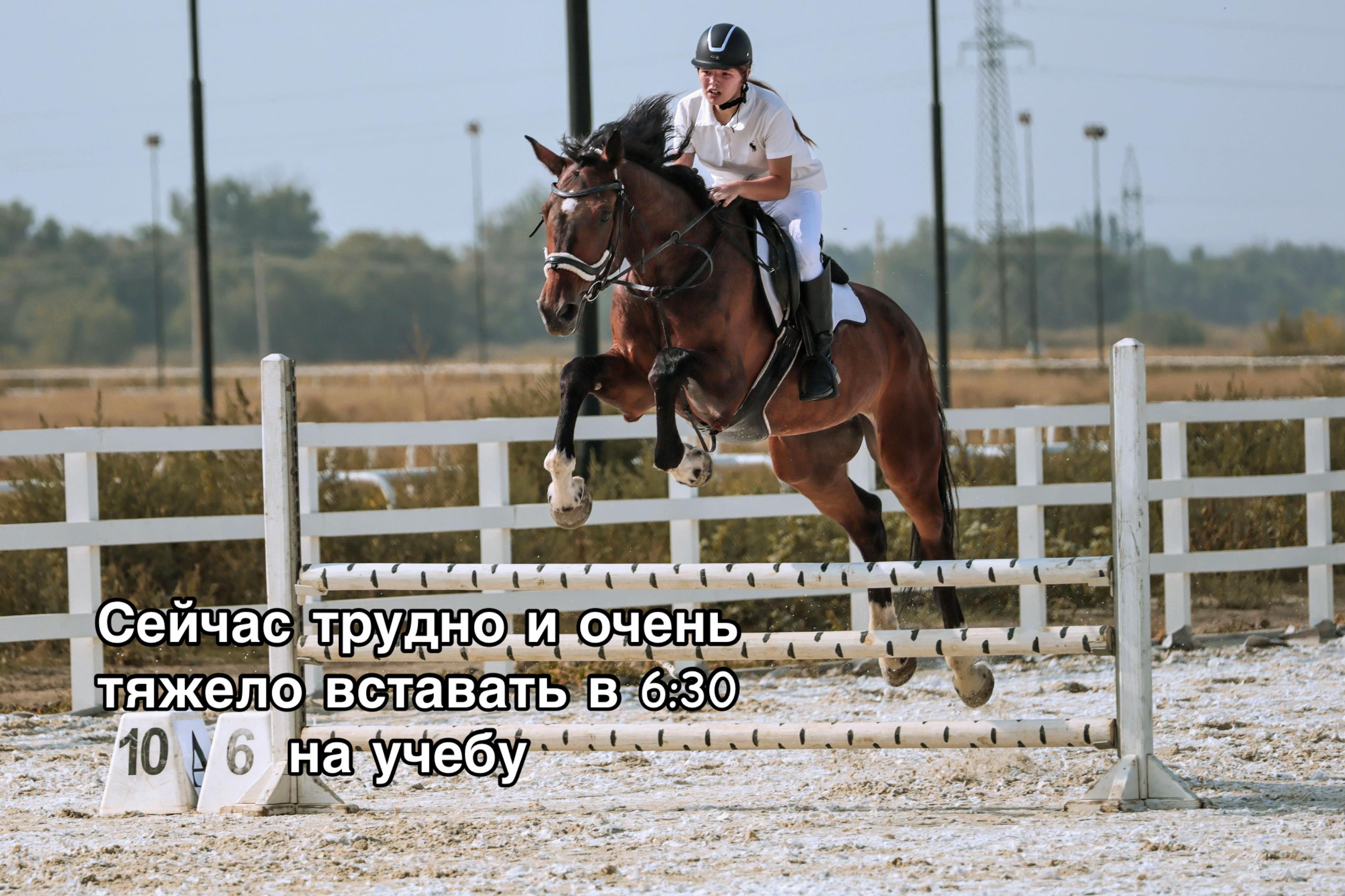 @🐎Ева🐎