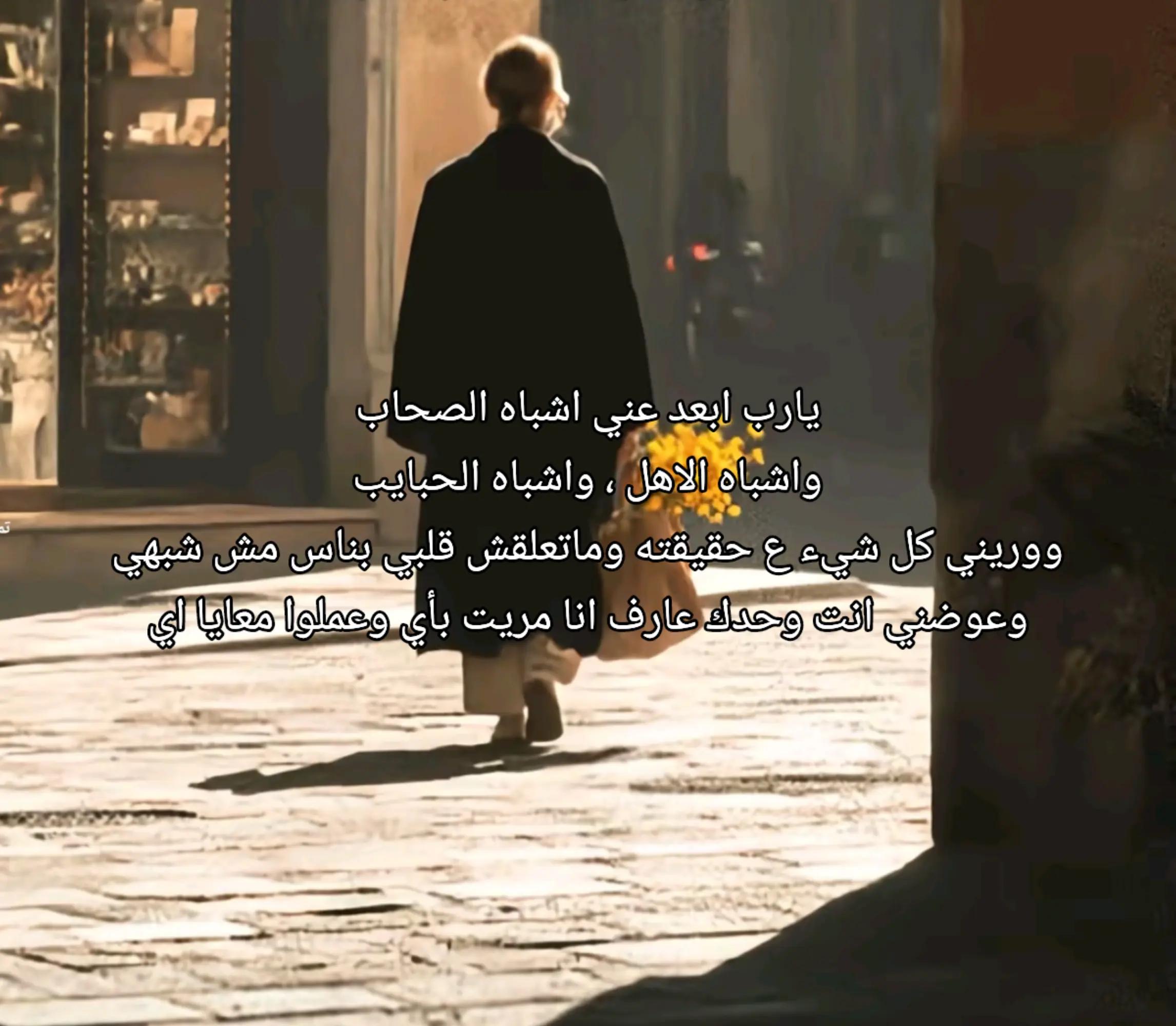 @Noura Srour