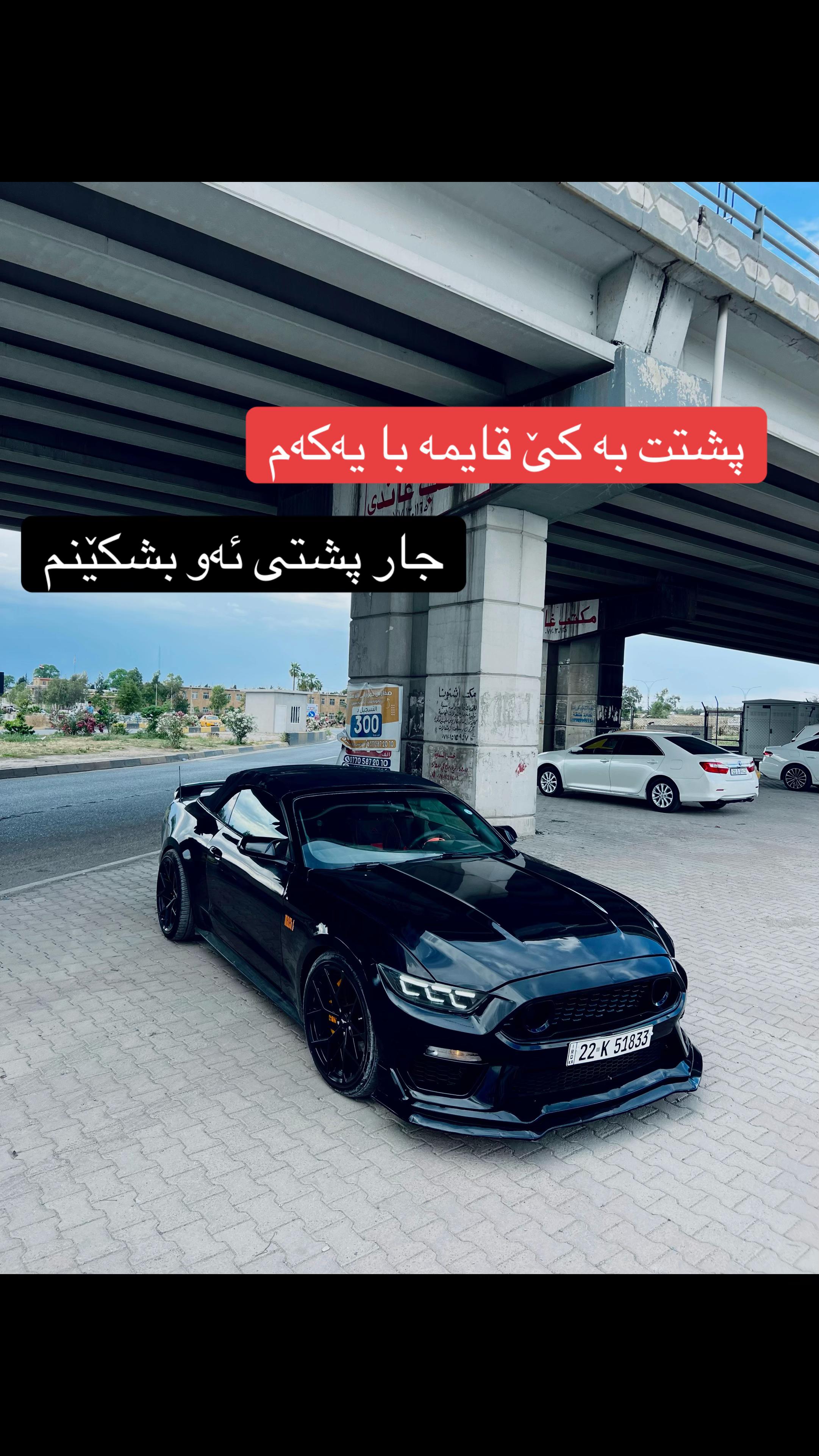 @hamaysheex