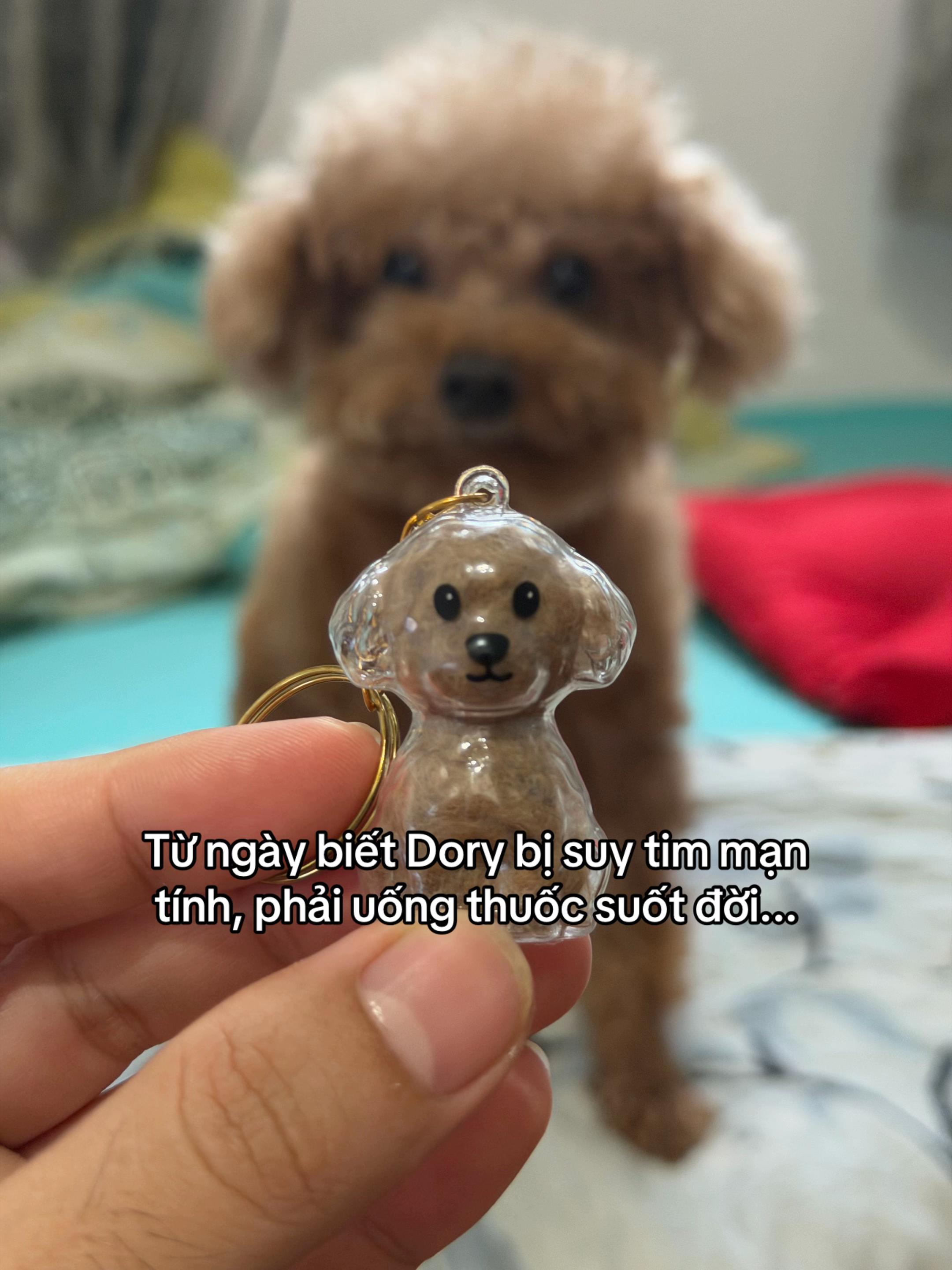 @Cái phòng nhỏ xíu