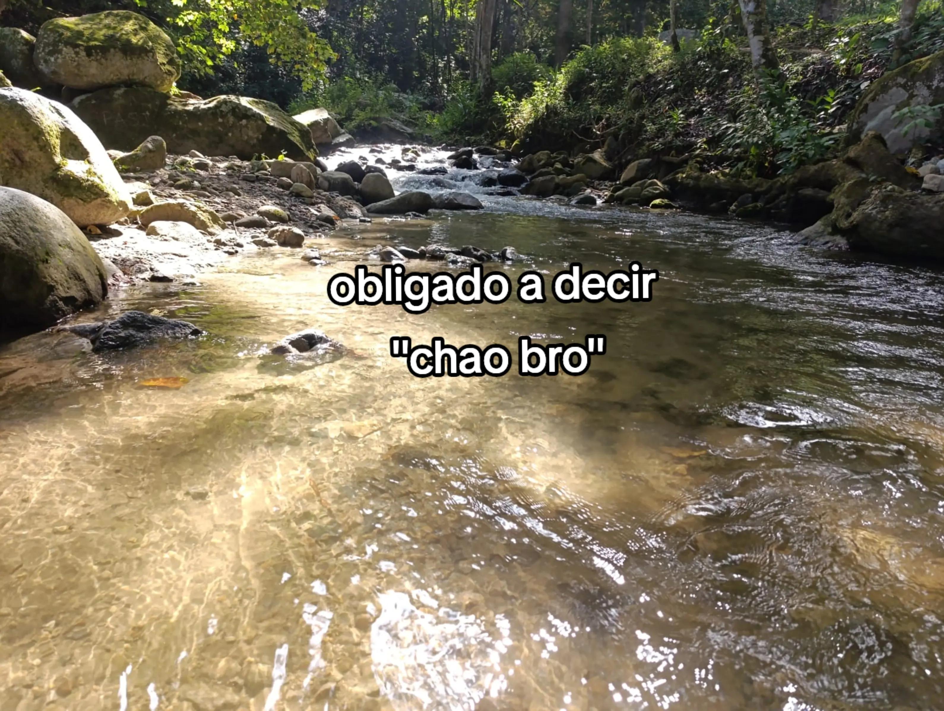@Mr_frases