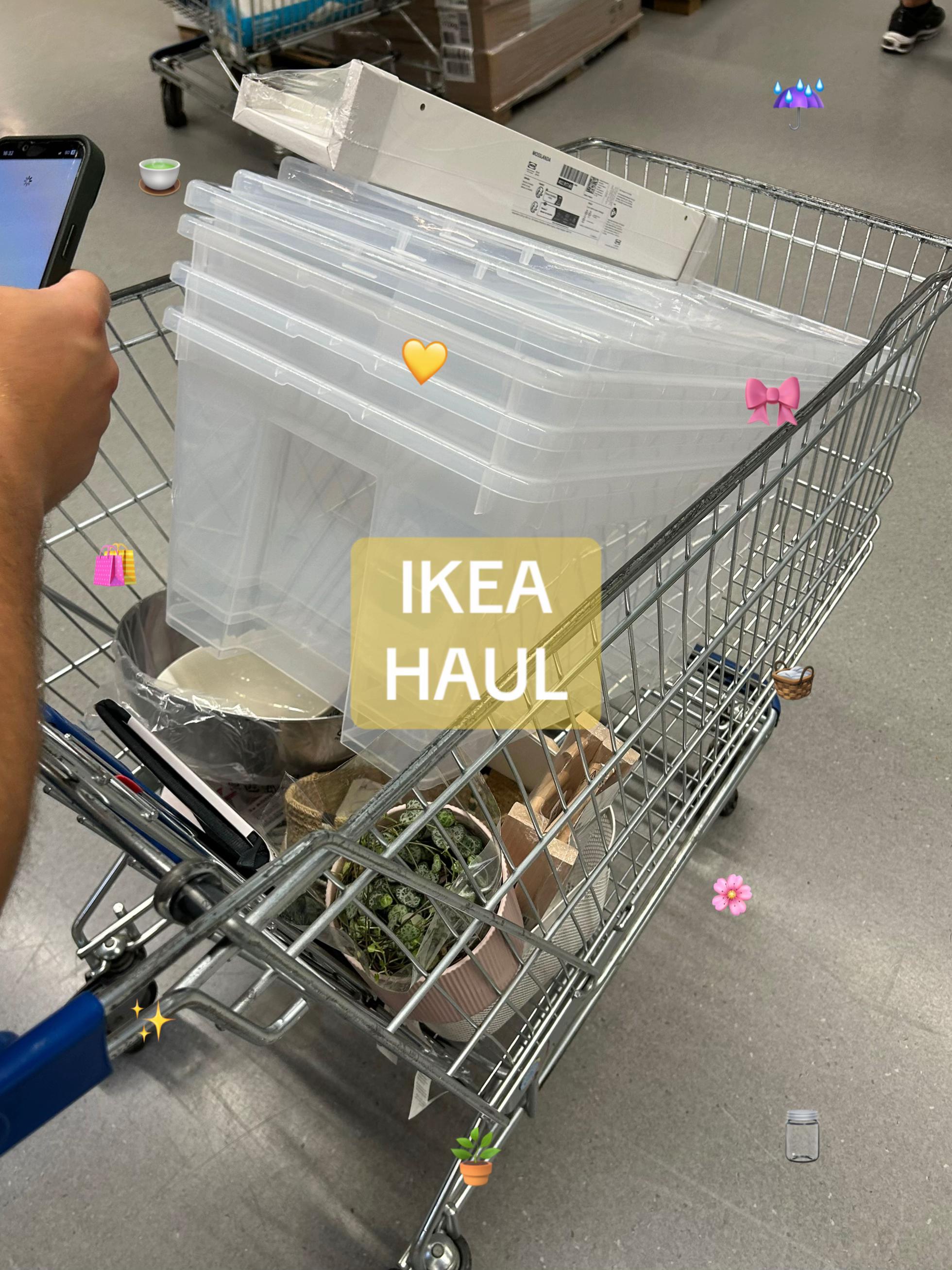 @LISA🌸⭐️🧡