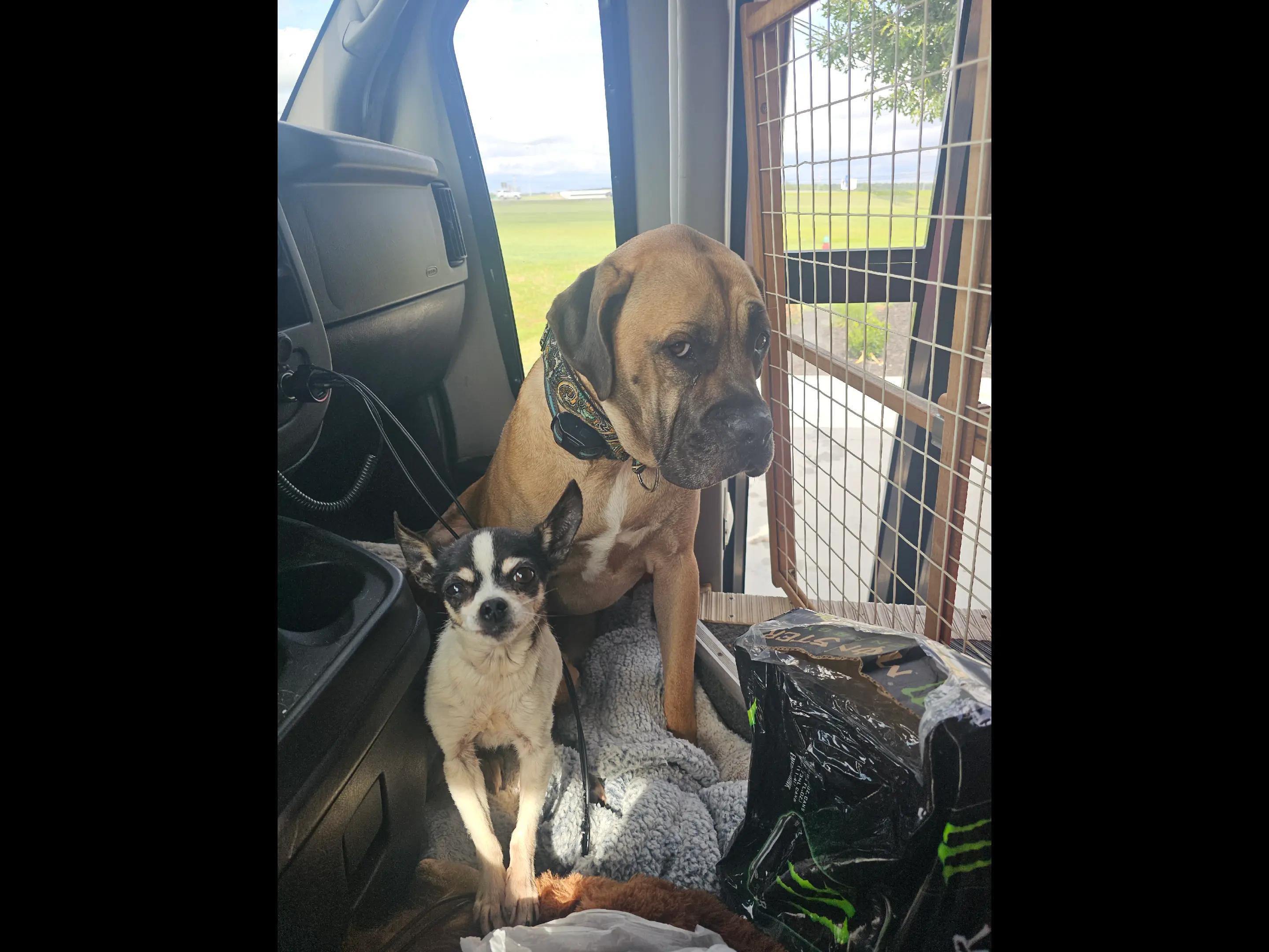 @tall tails rescue & transport