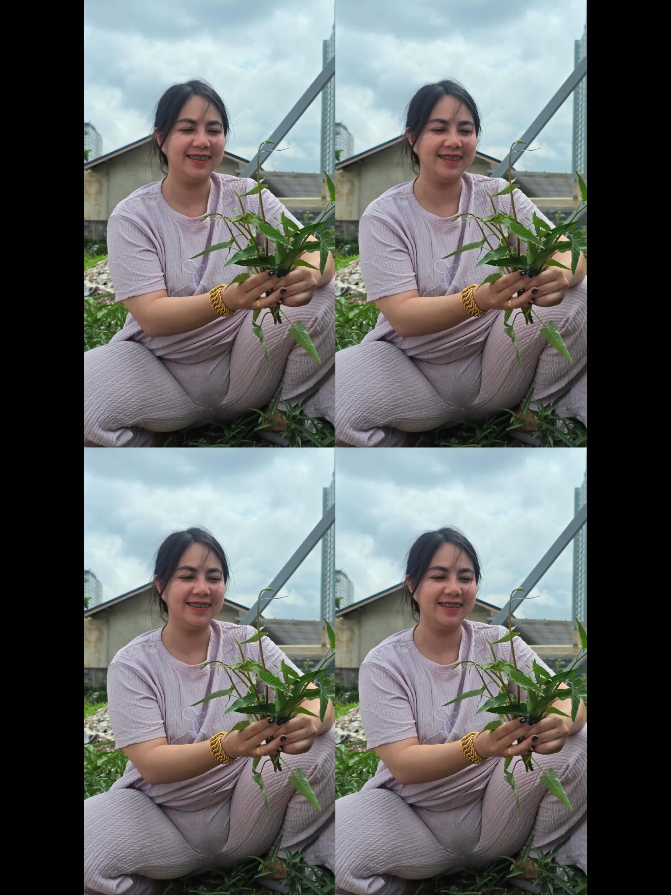 @ดรีมมี่เอวคิตตี้