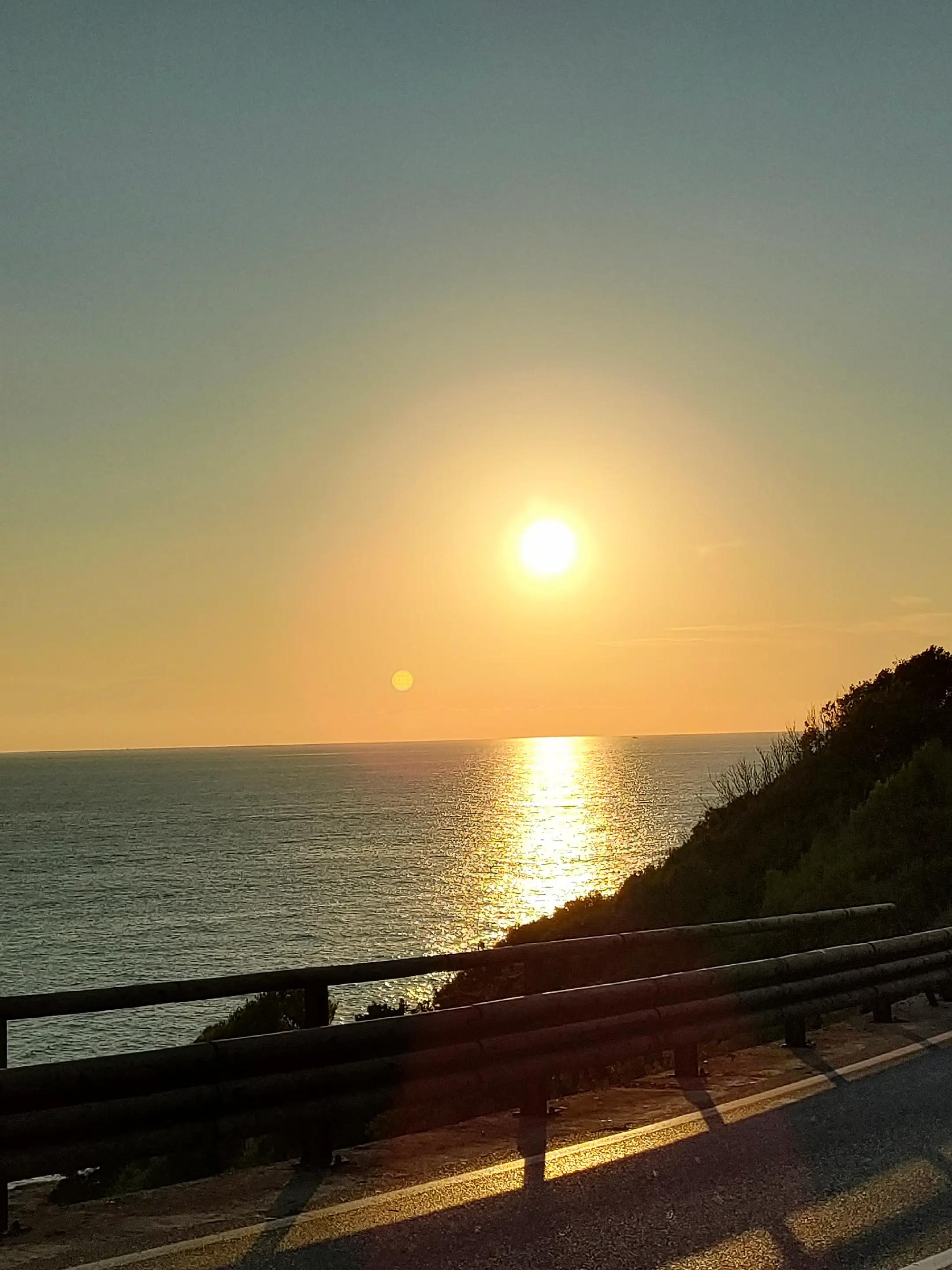 @lupo solitario