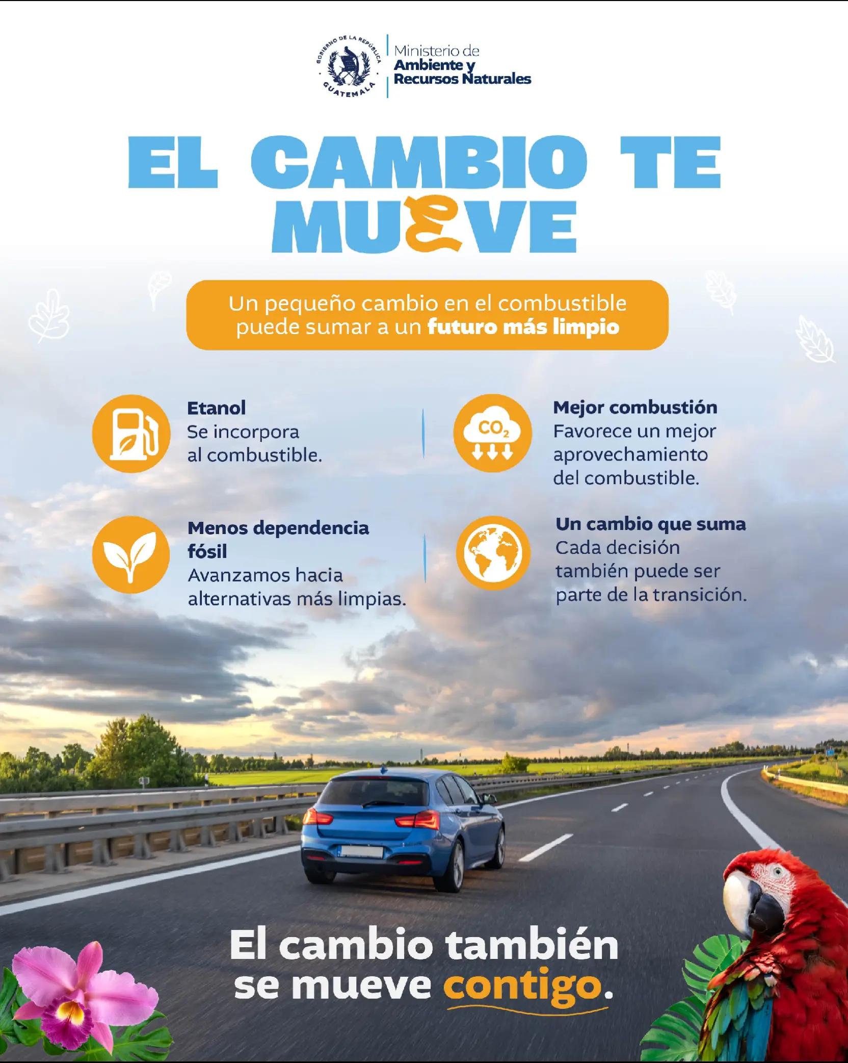 @Ministerio de Ambiente GT