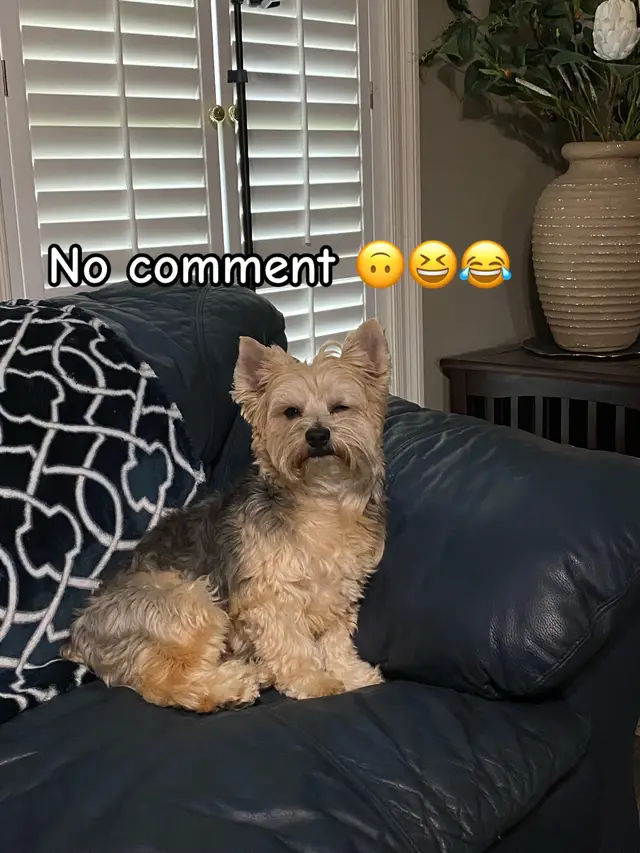 @TG’s unedited videos/real life