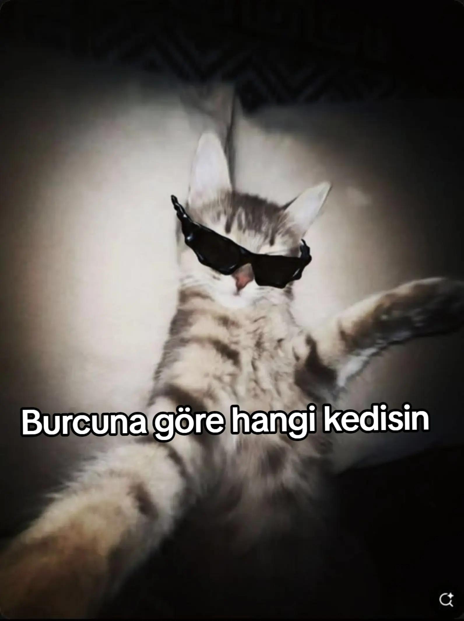 @★Dustin_harigtion★