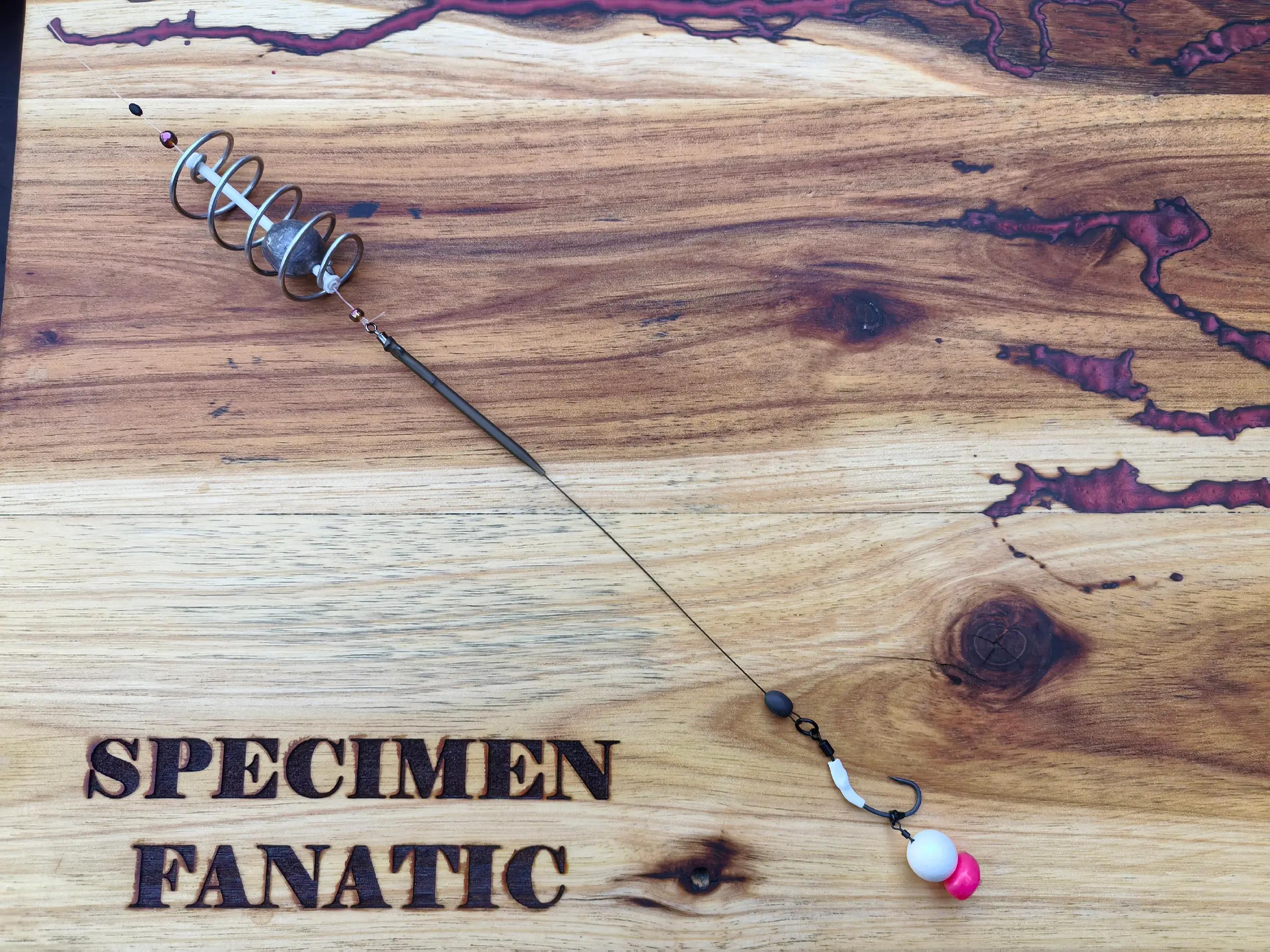 @Dries Specimen Fanatic