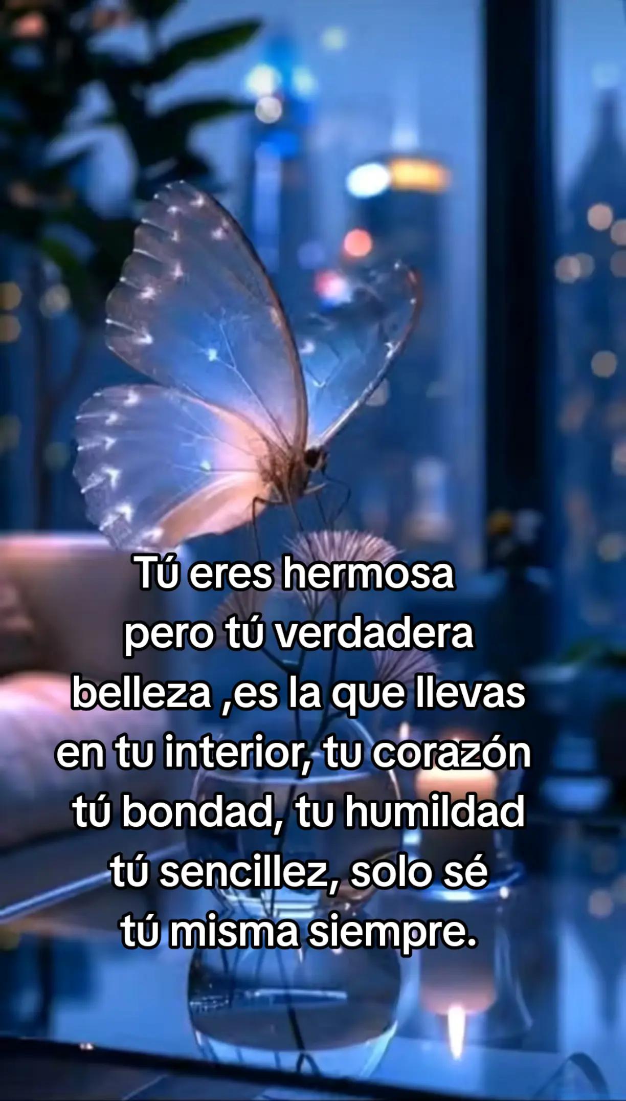 @Rafael V.J.(Lobito)