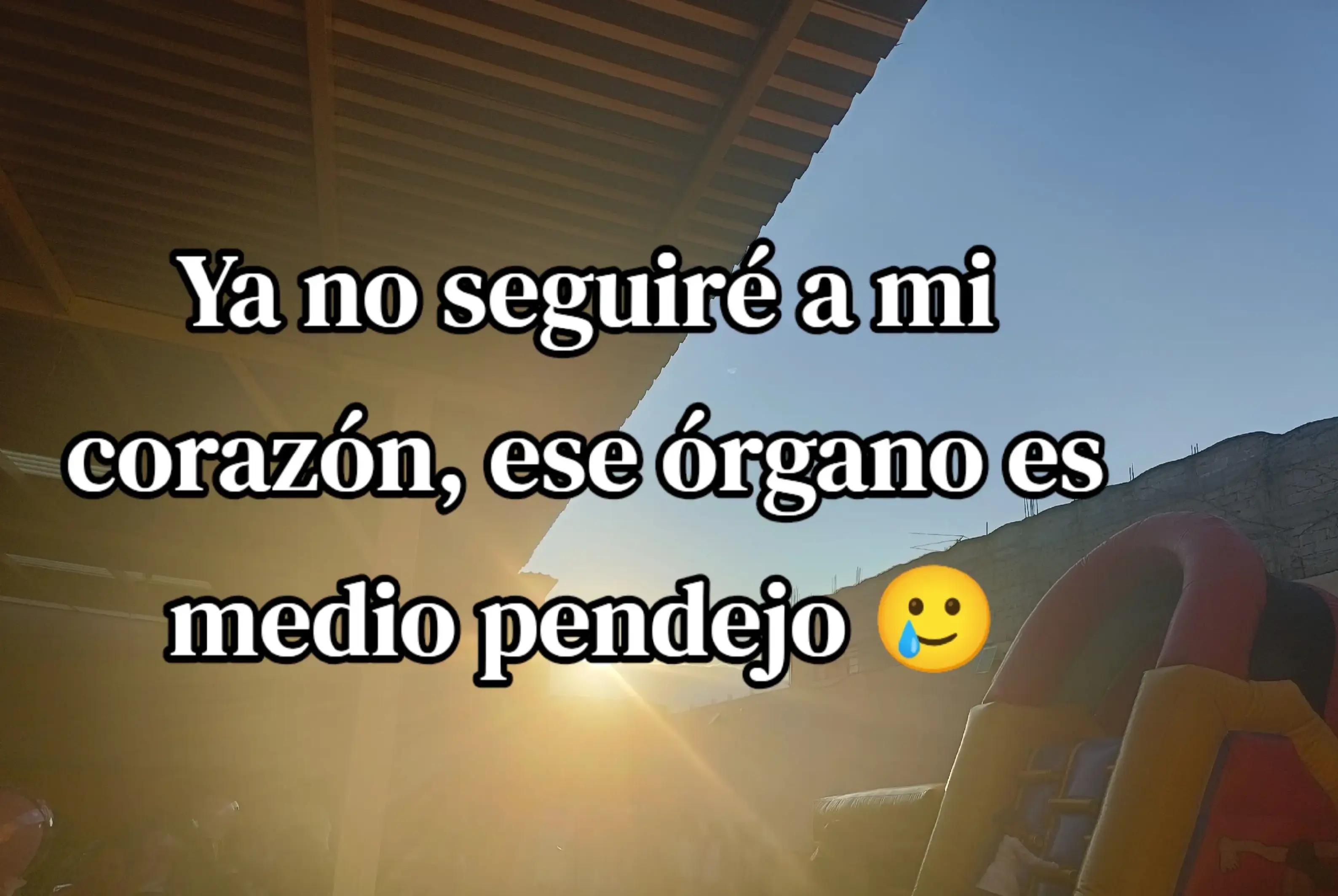 @Guadalupe Juárez