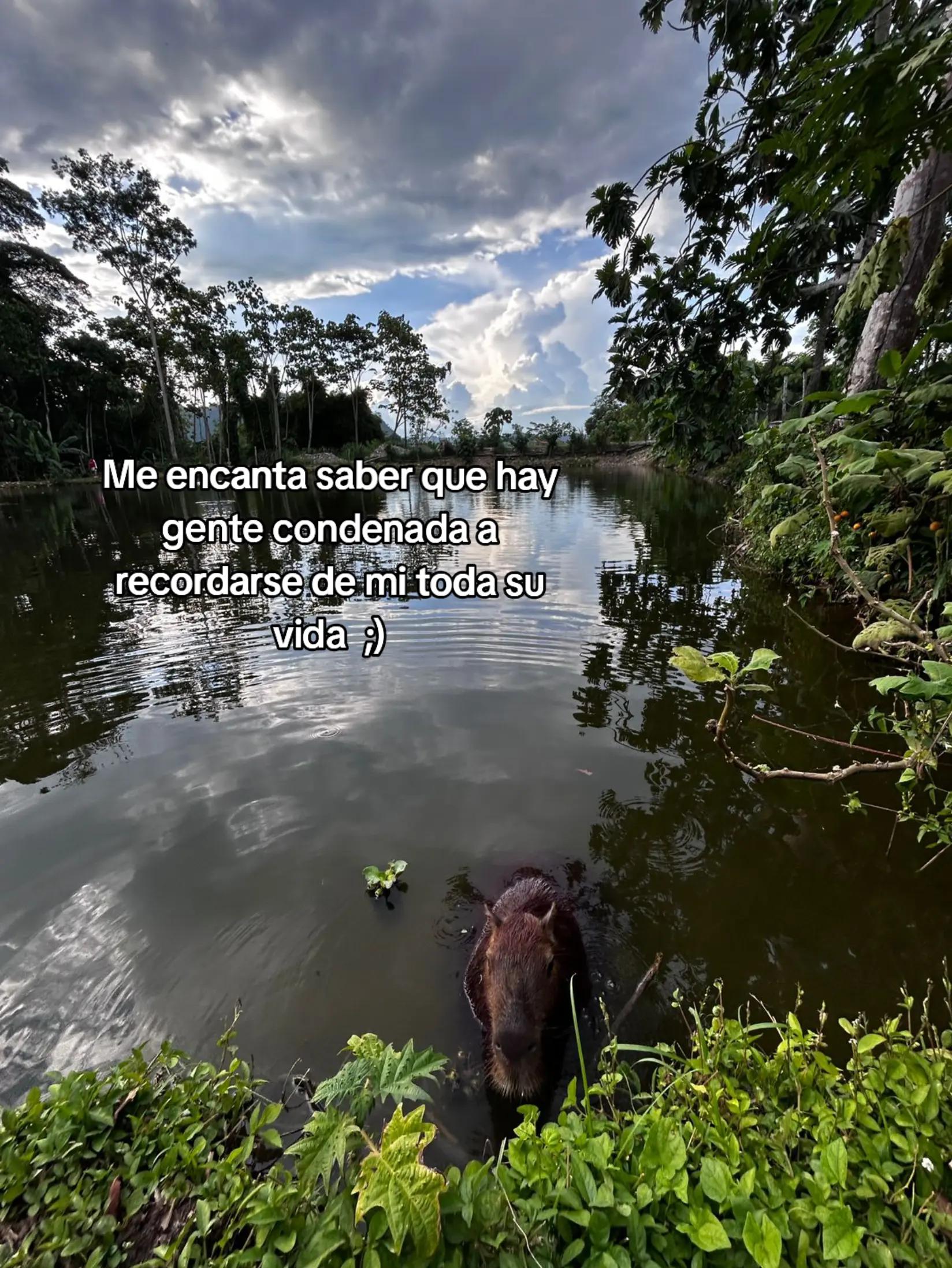 @Maff 🦋🌟