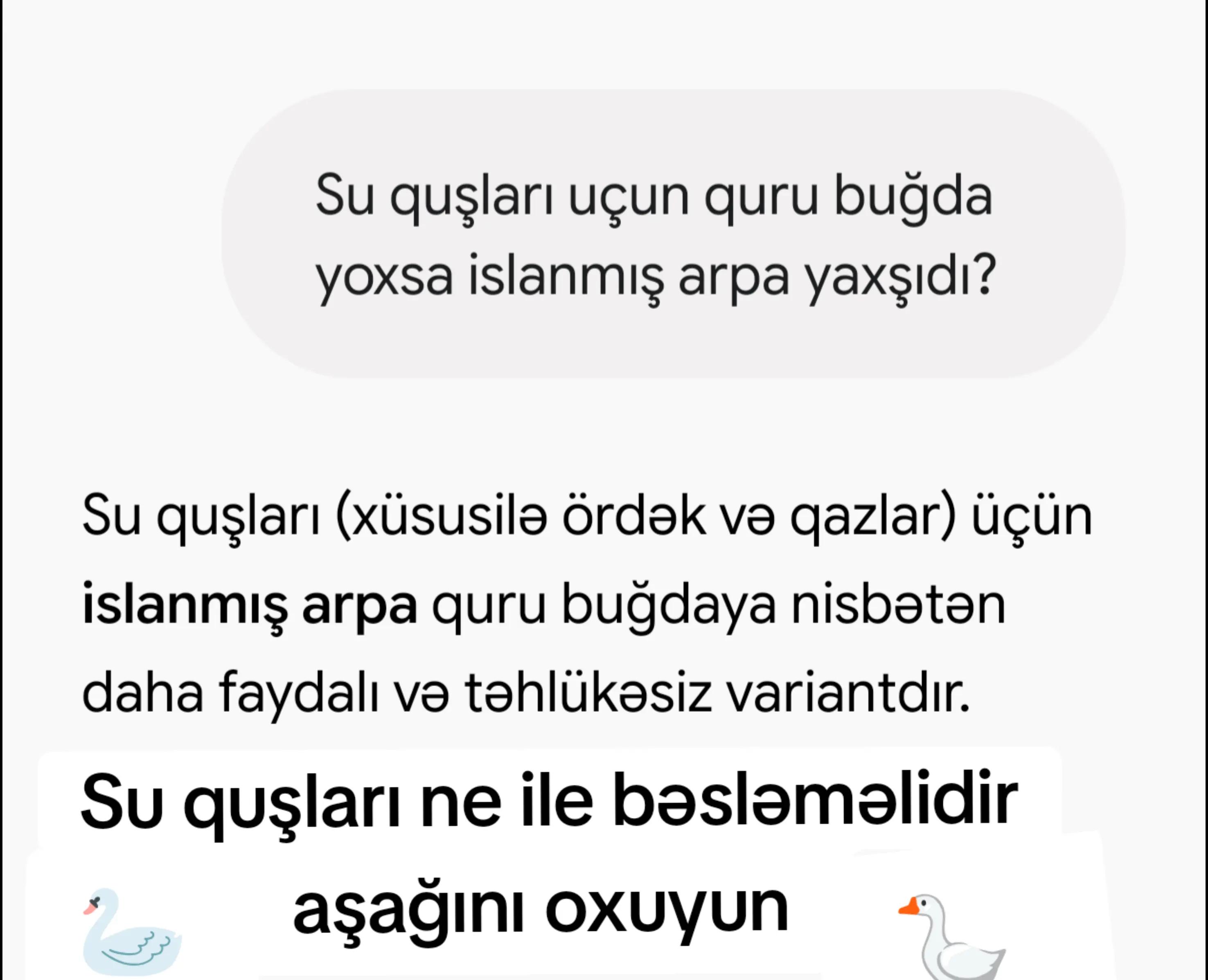 @MAŞTAĞA_QUŞCULUĞ