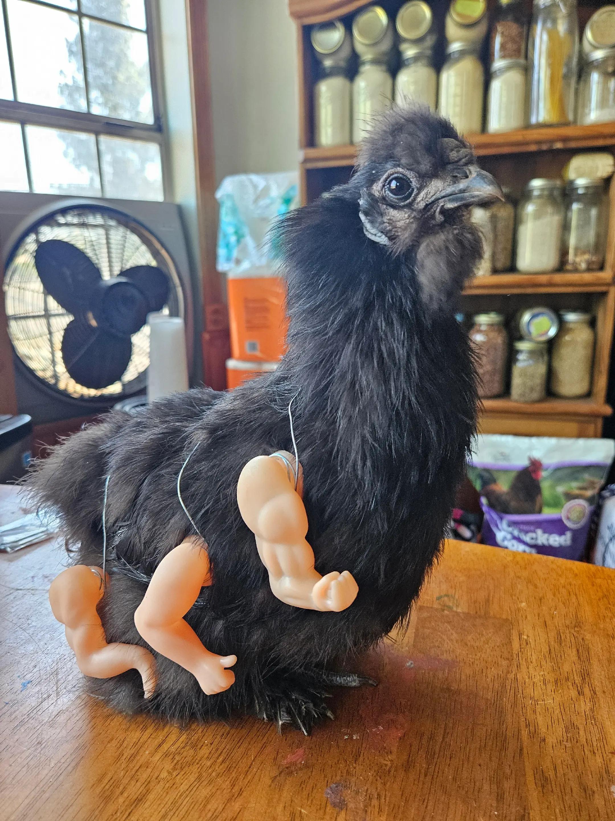 @The Ten Hens