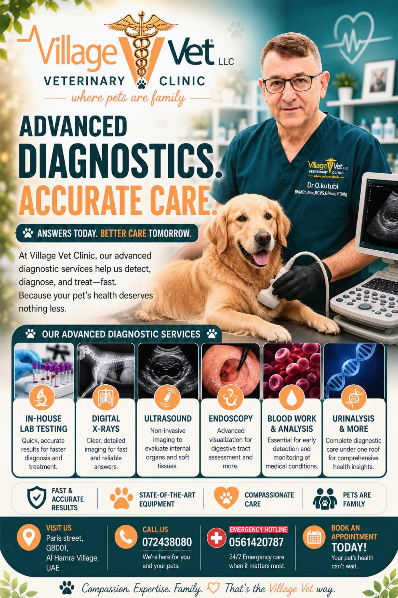 @VillagevVet LLC