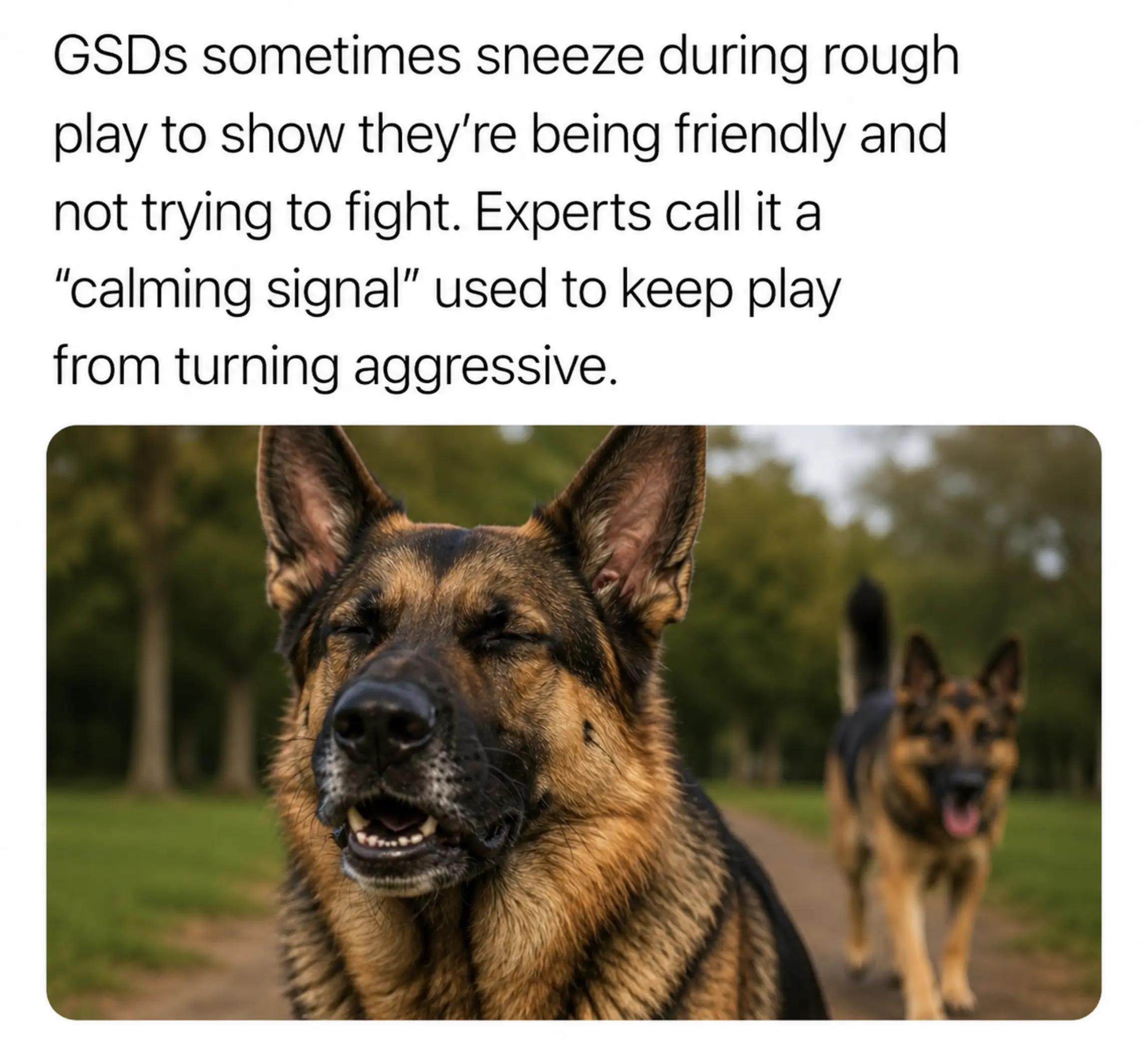 @GSD.PRIDE