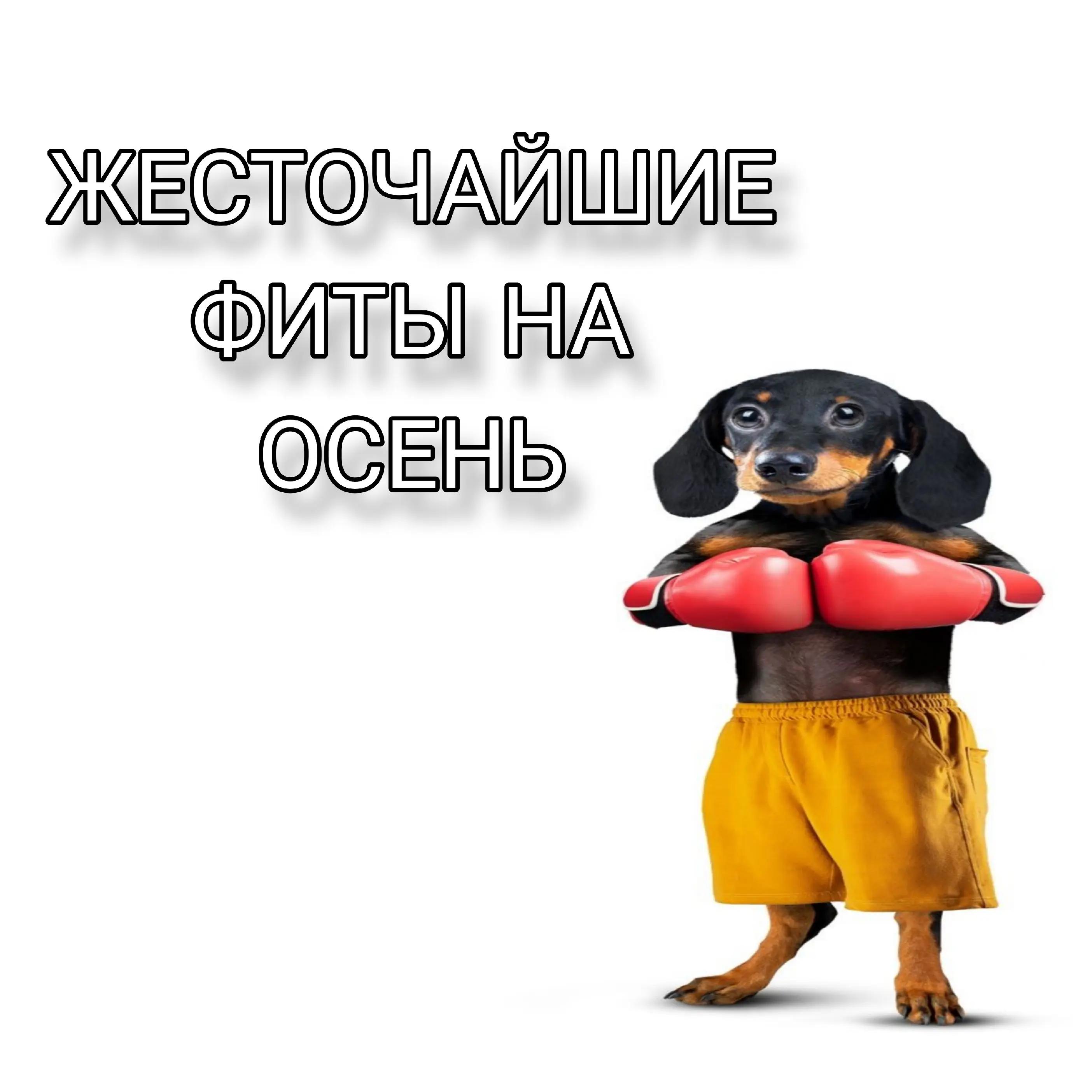@tg:blag0o0