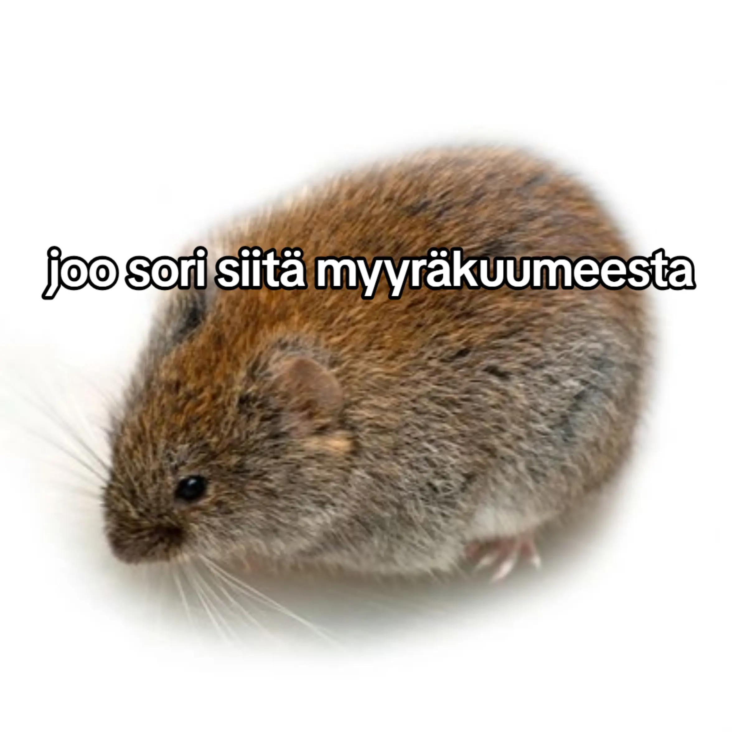 @metsämyyrä