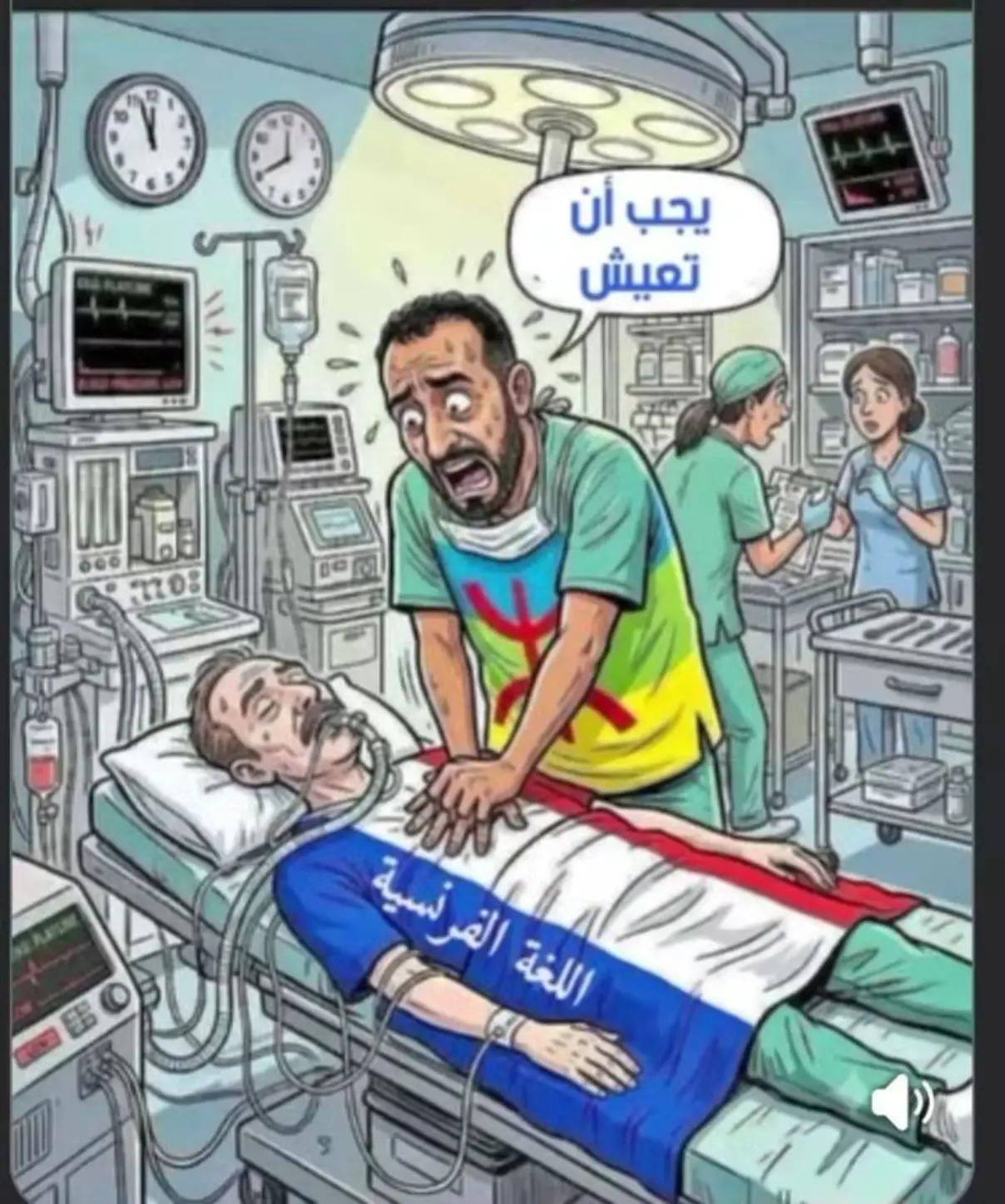 @greenzone16