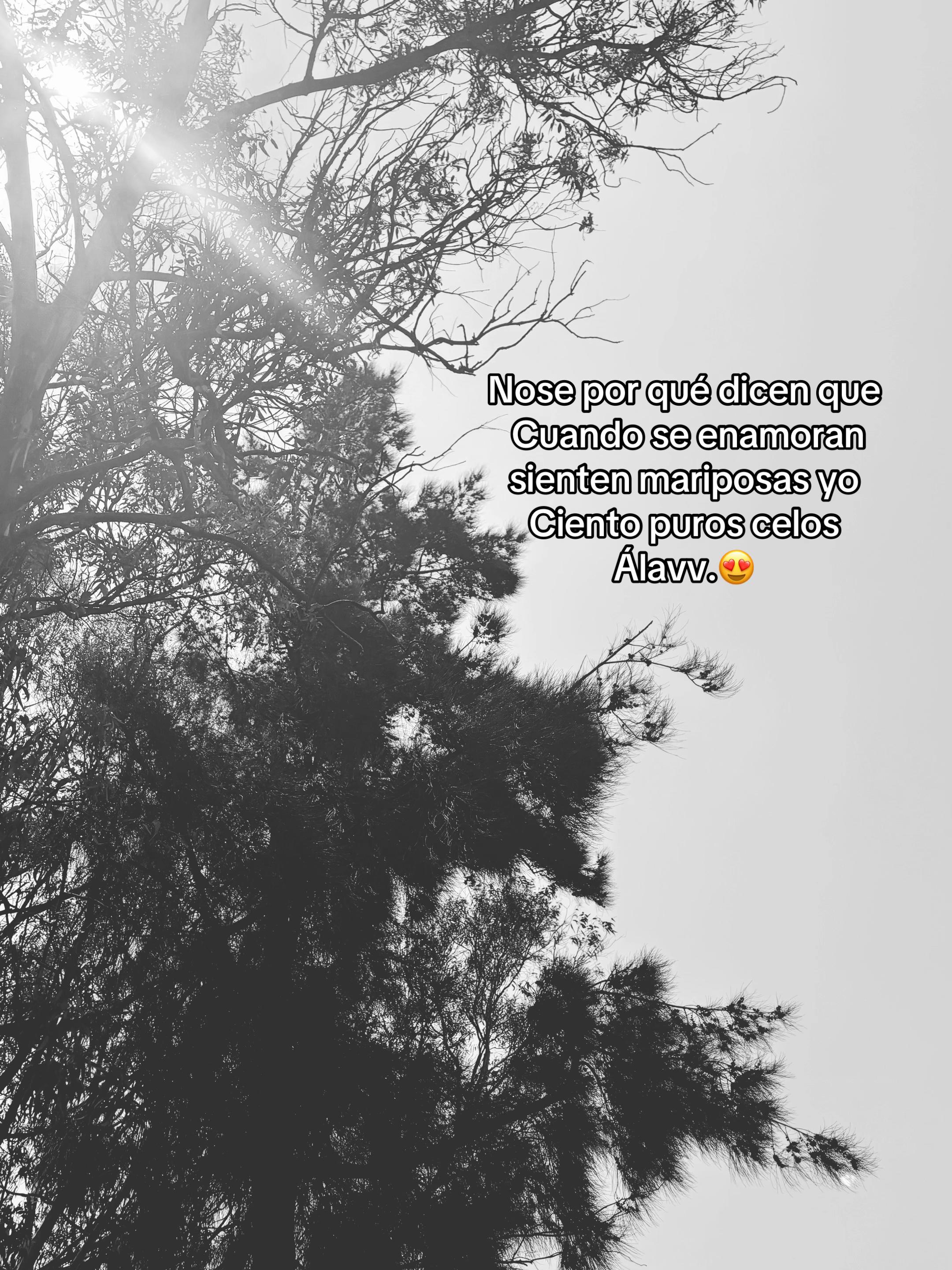 @ܔܛܔ