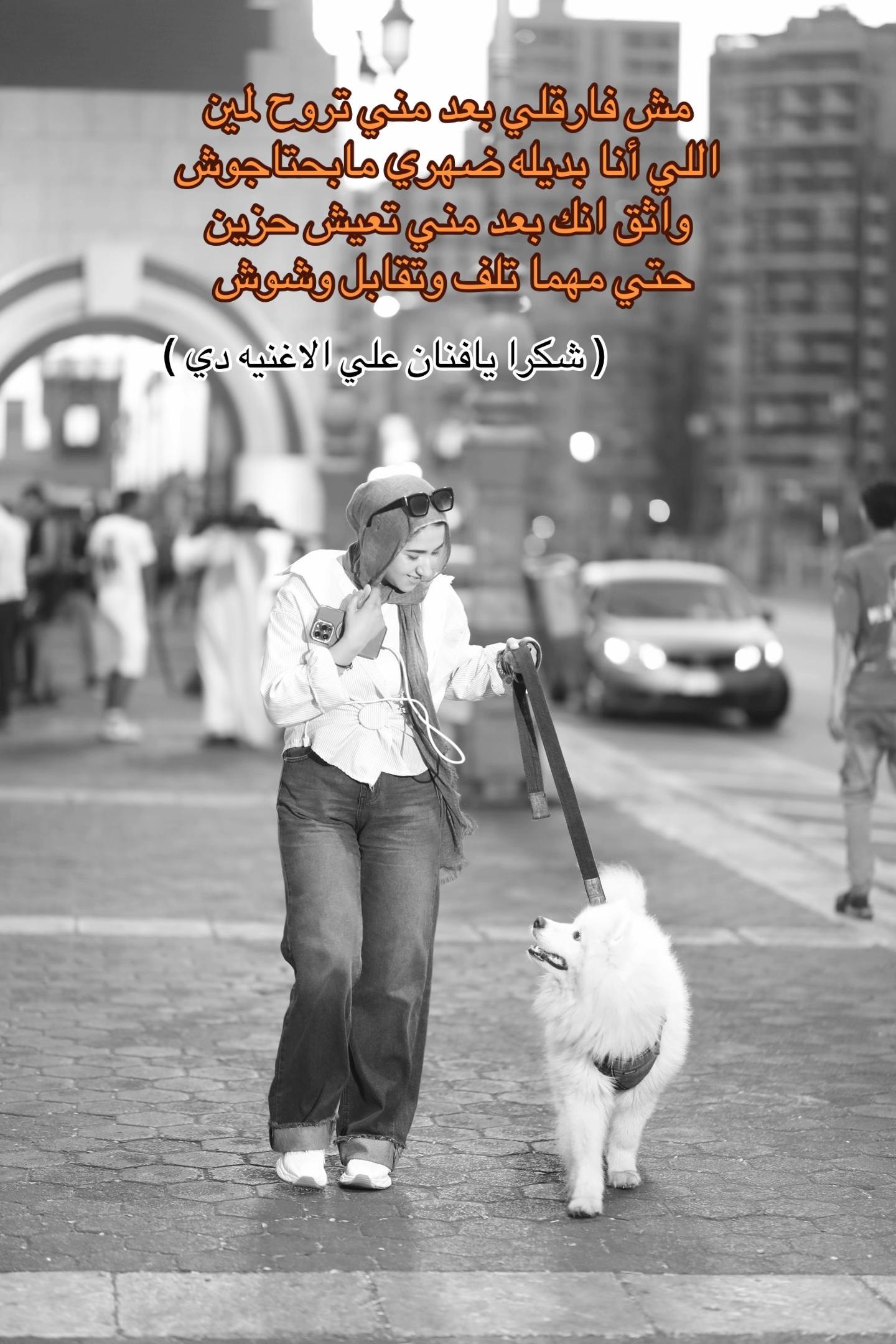 @wardamohamed_official