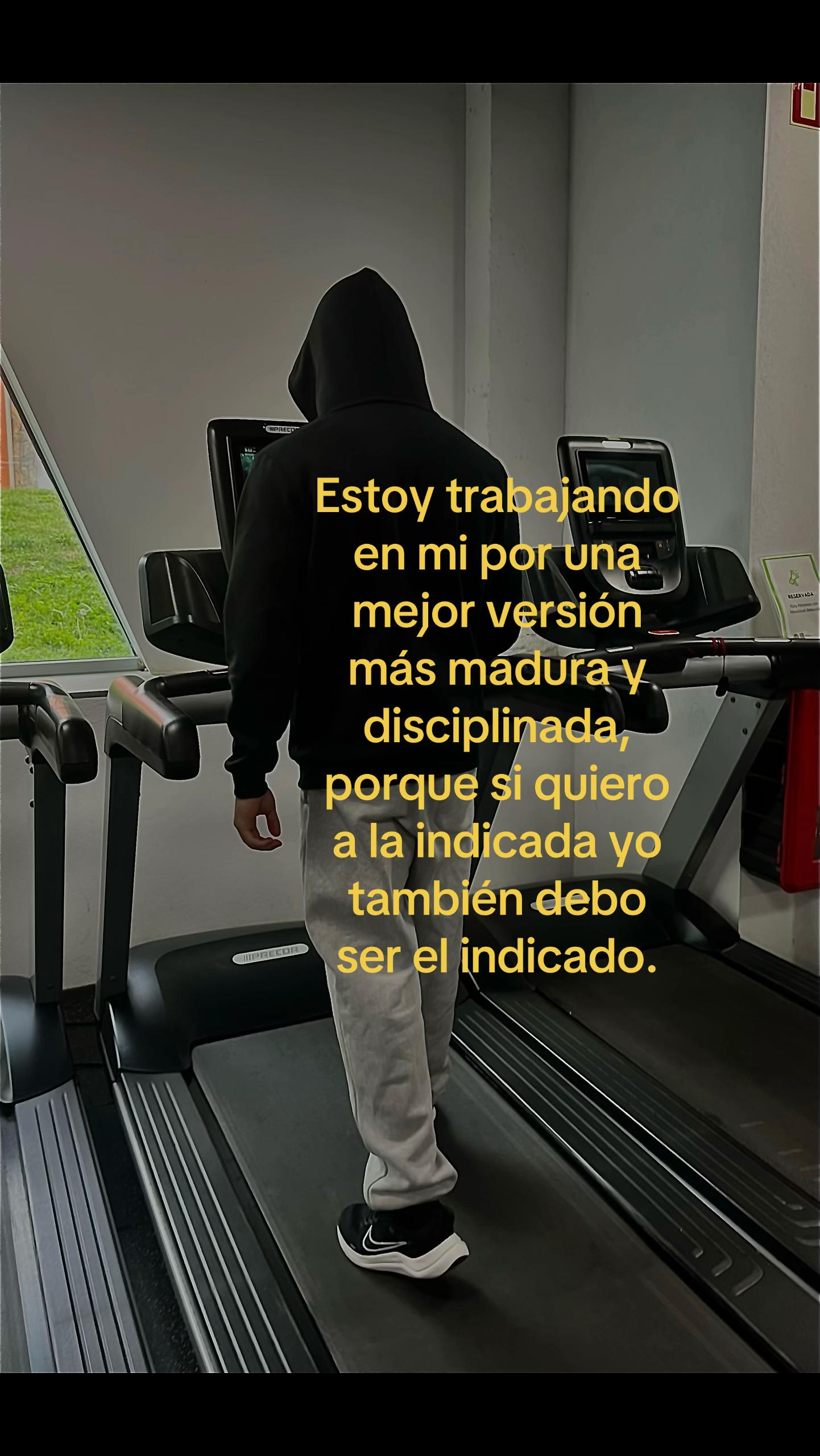 @matteo 🕷️