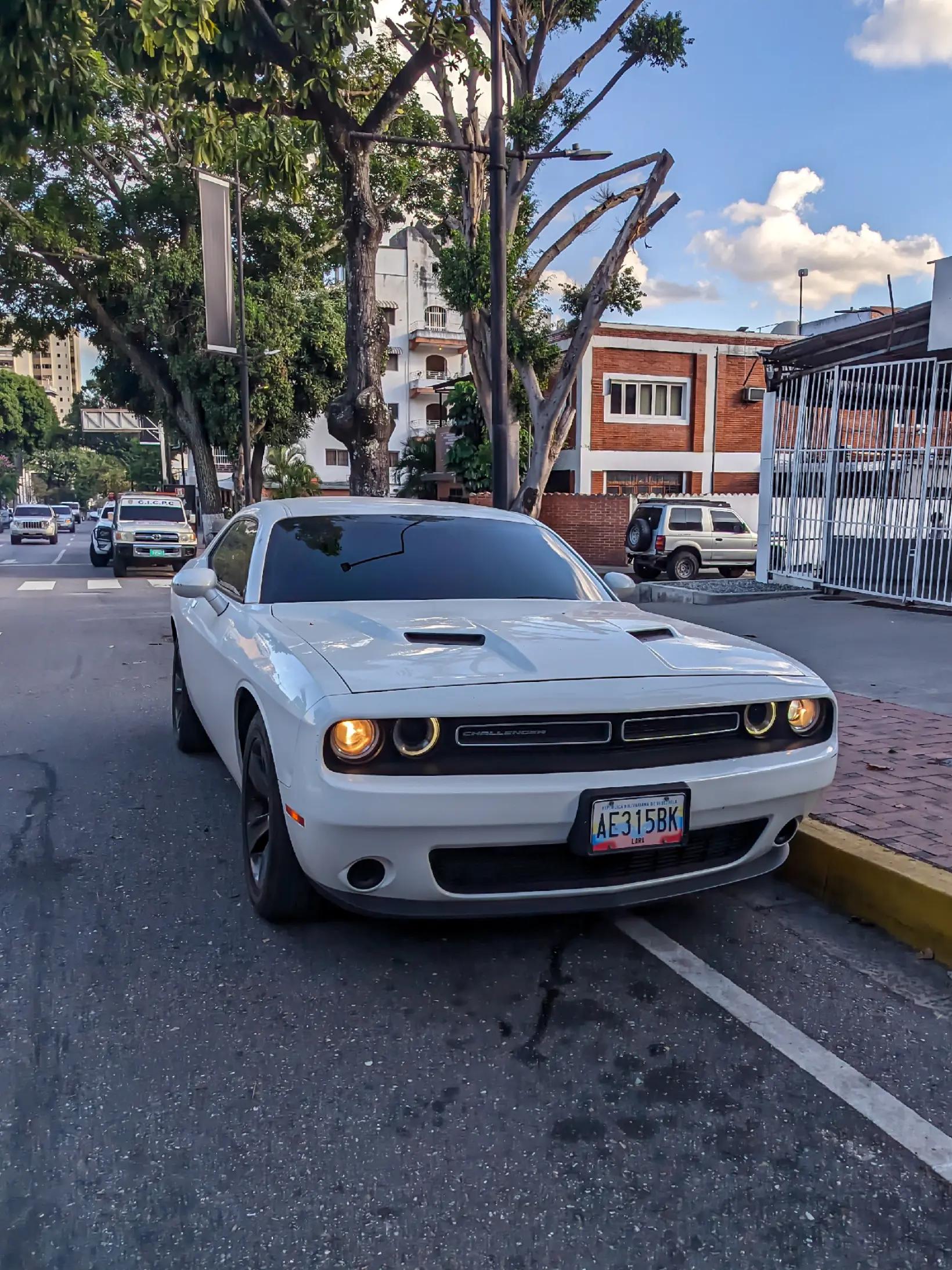 @Paradise Cars