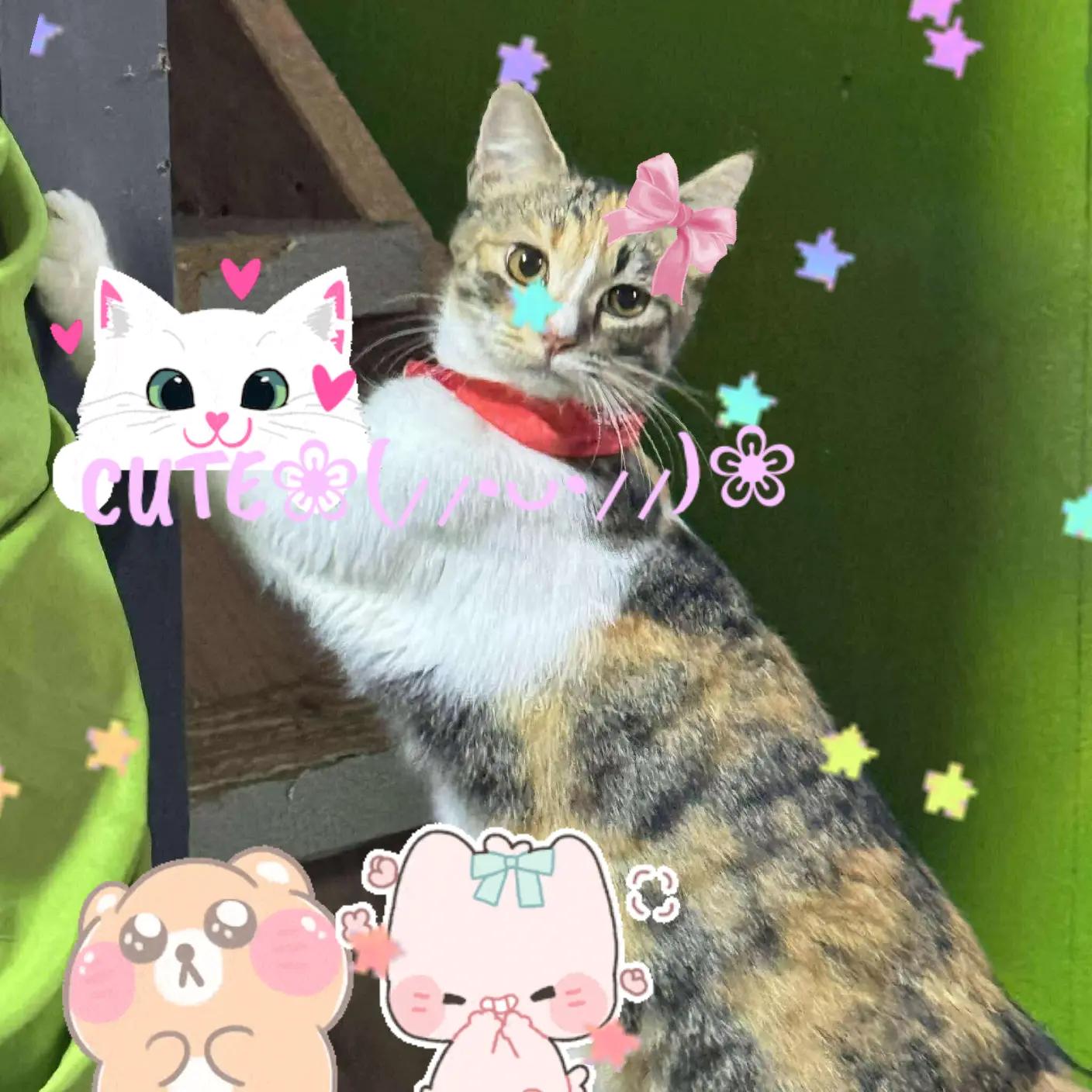 @𝕱𝖆𝖎𝖙𝖍_𝖈𝖚𝖙𝖎𝖊