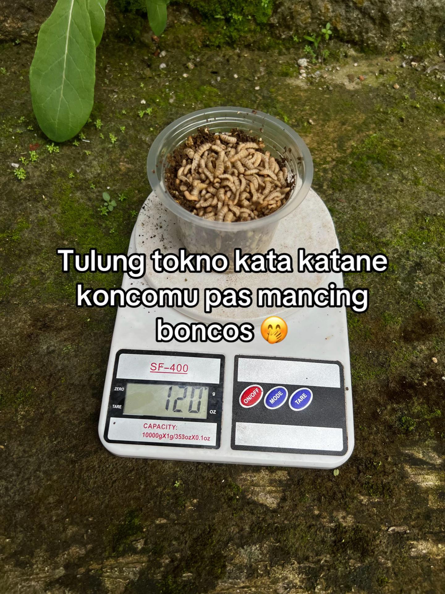 @unclemancing