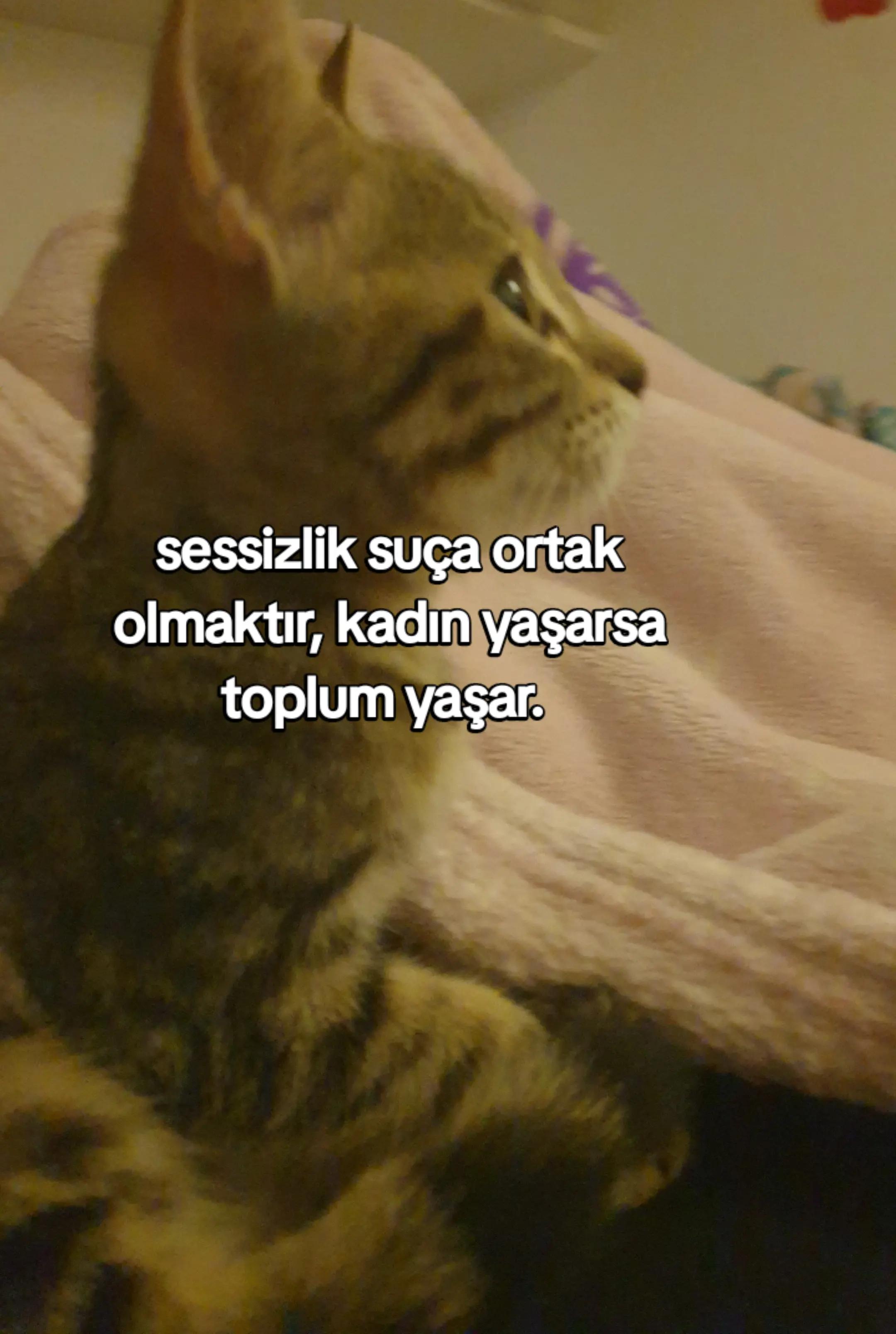 @zeehhhhraaaaaaaaa