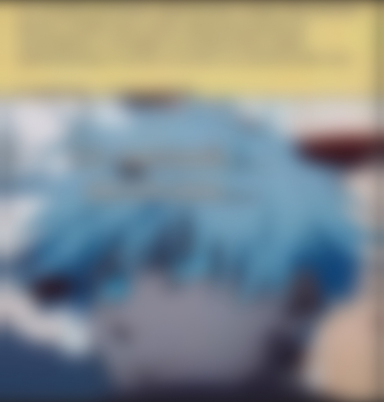 @true rukia