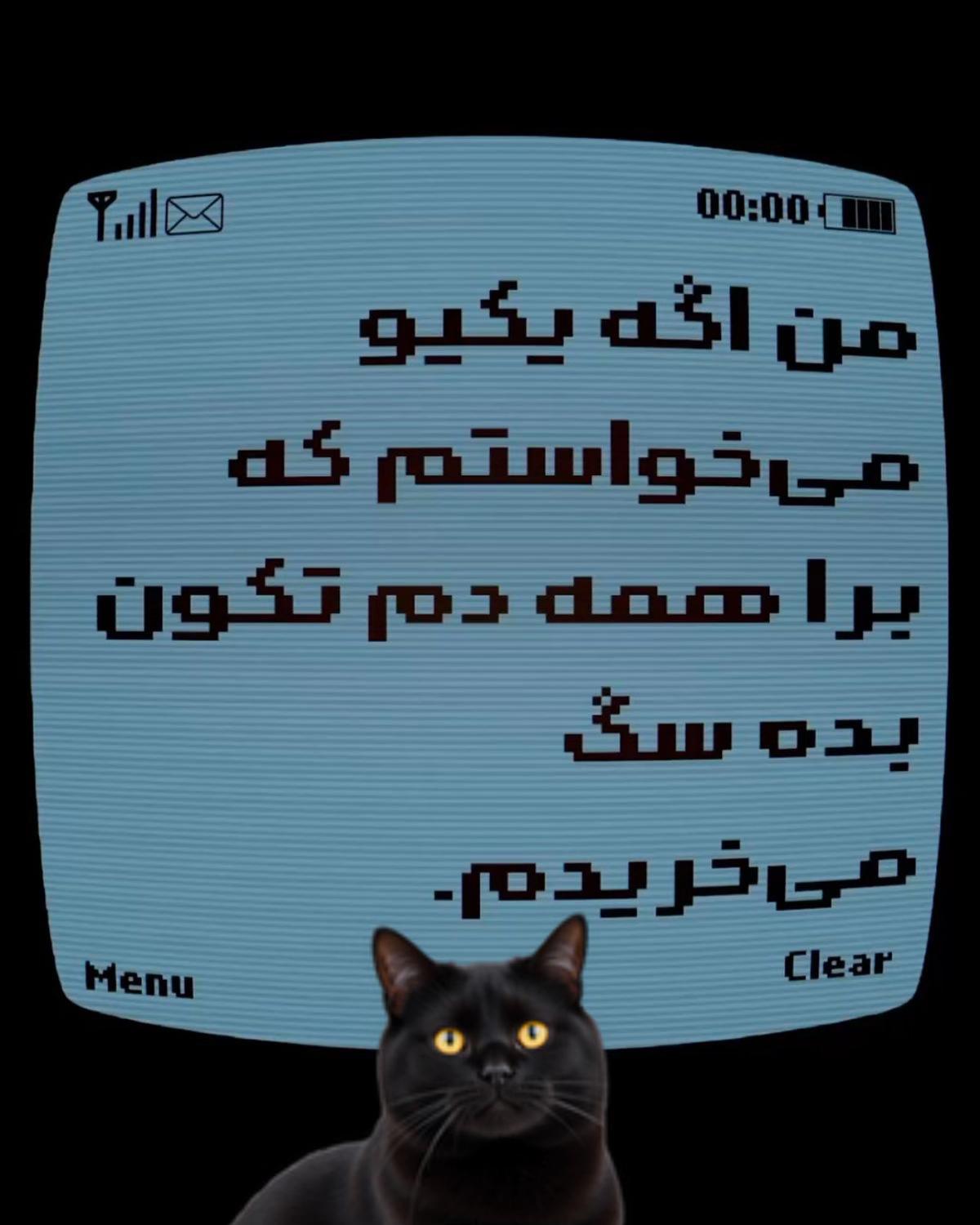 @Silly ♱ Clown
