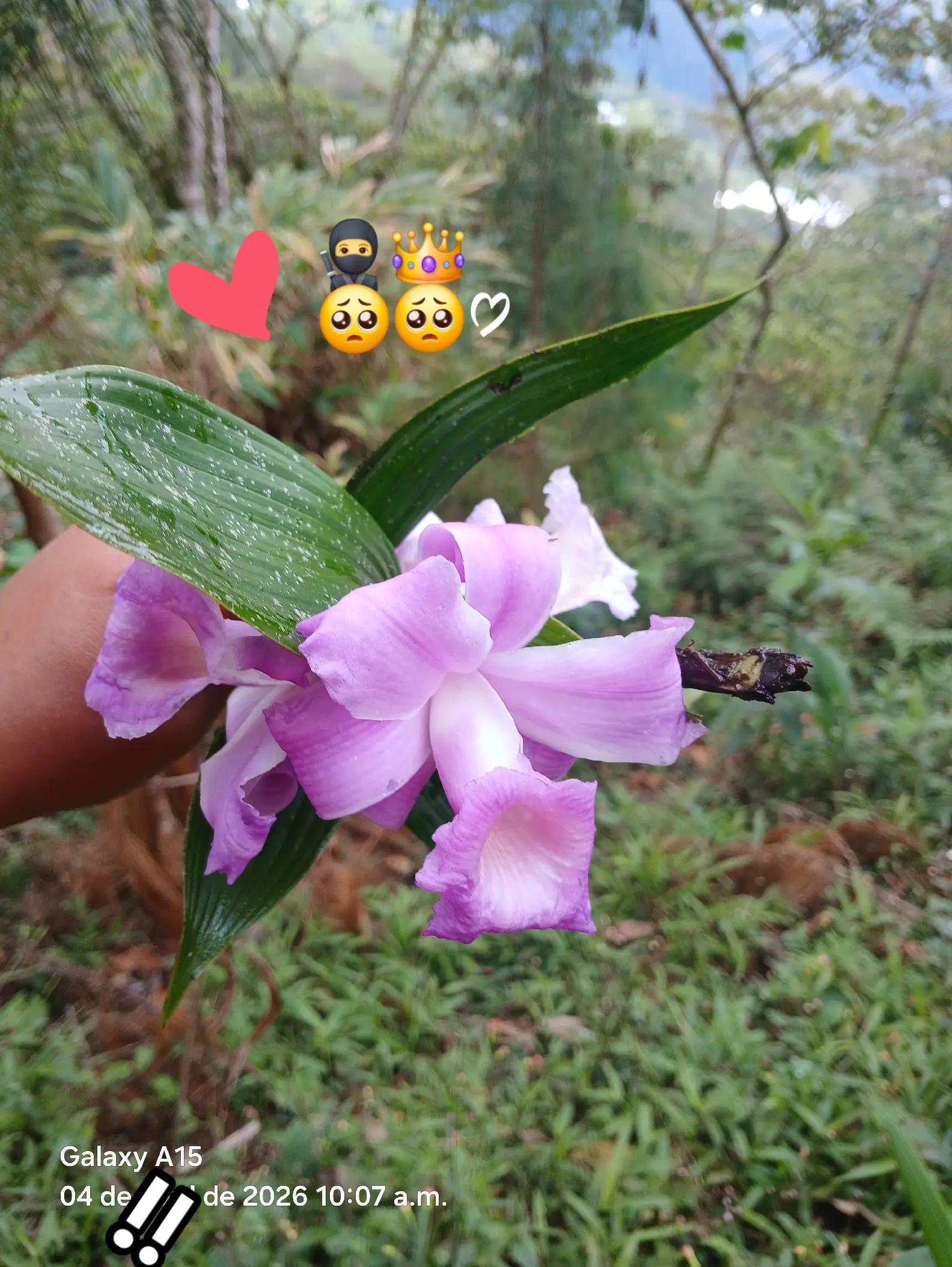 @pery 🍃📿 😘😘