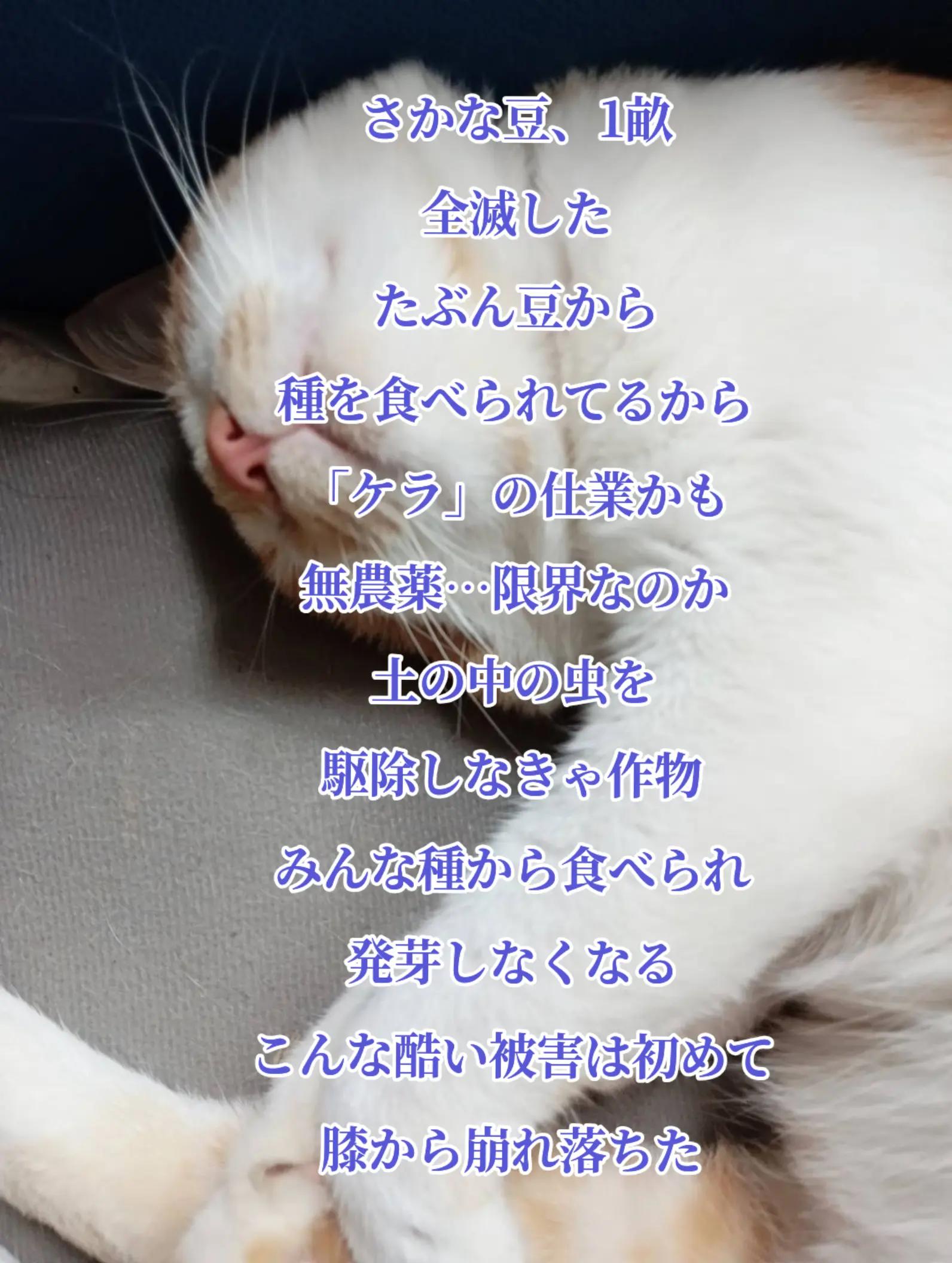 @๐ใฟใใกใใใใง๐