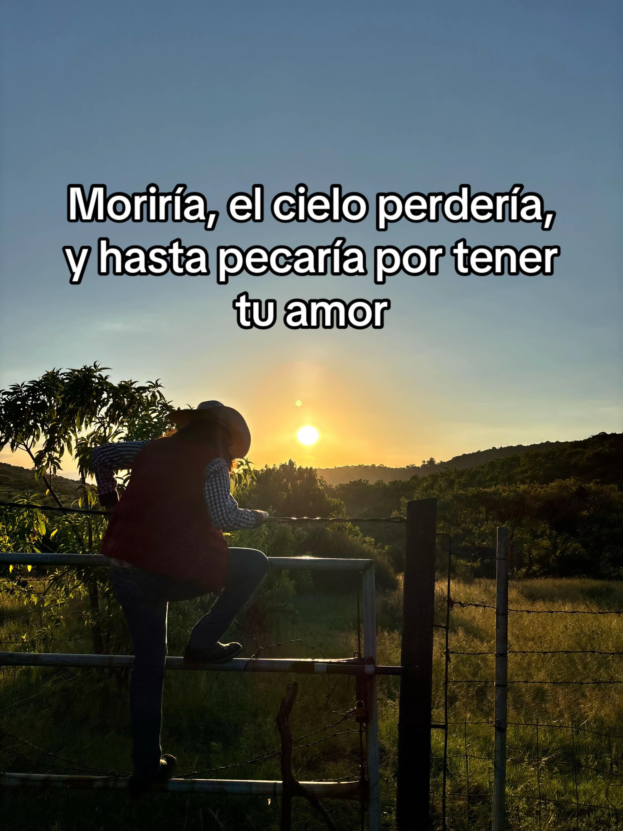 @mafff