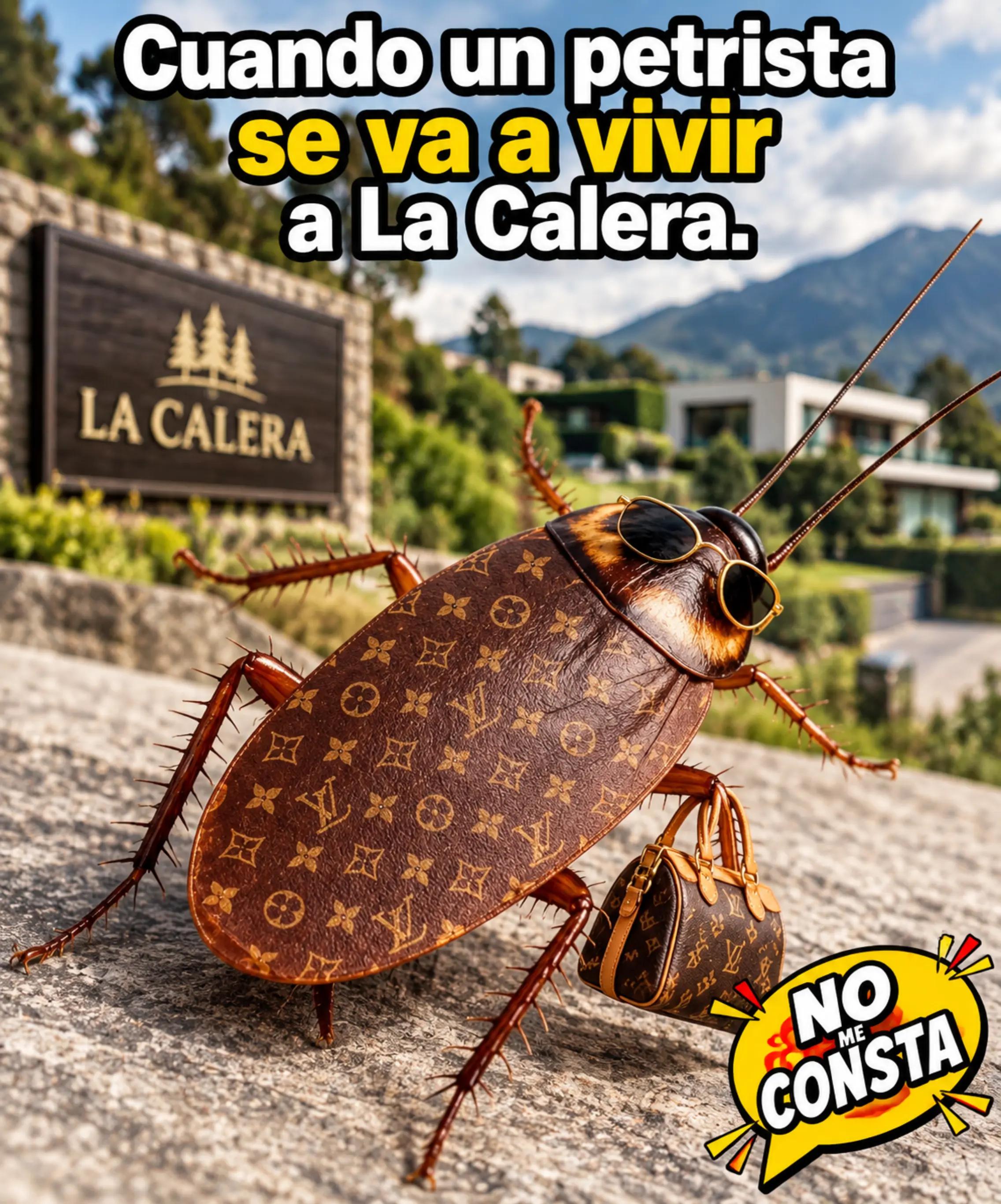 @NoMeConsta