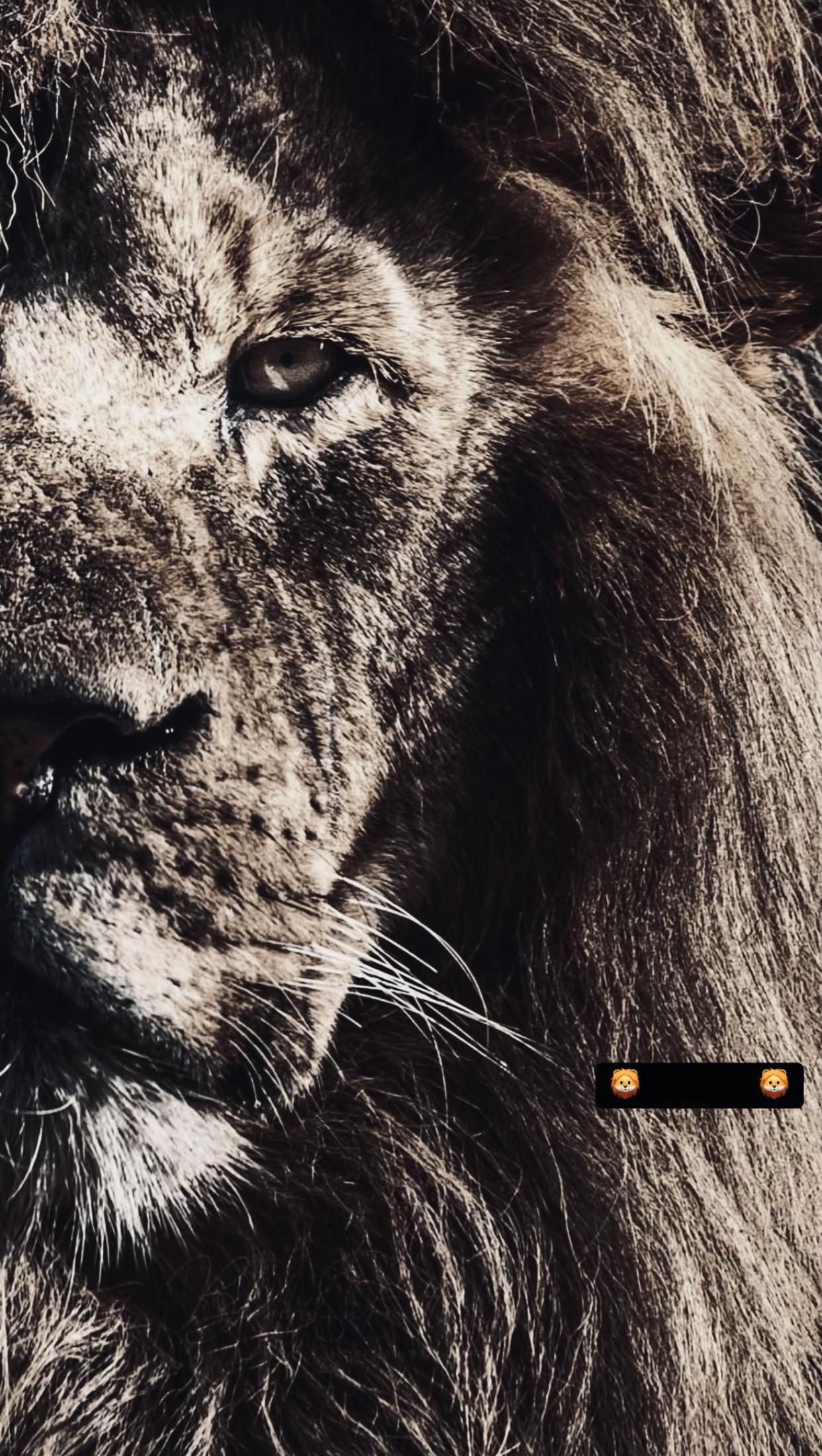 @𝖕𝖔𝖑𝖆🐺🥇