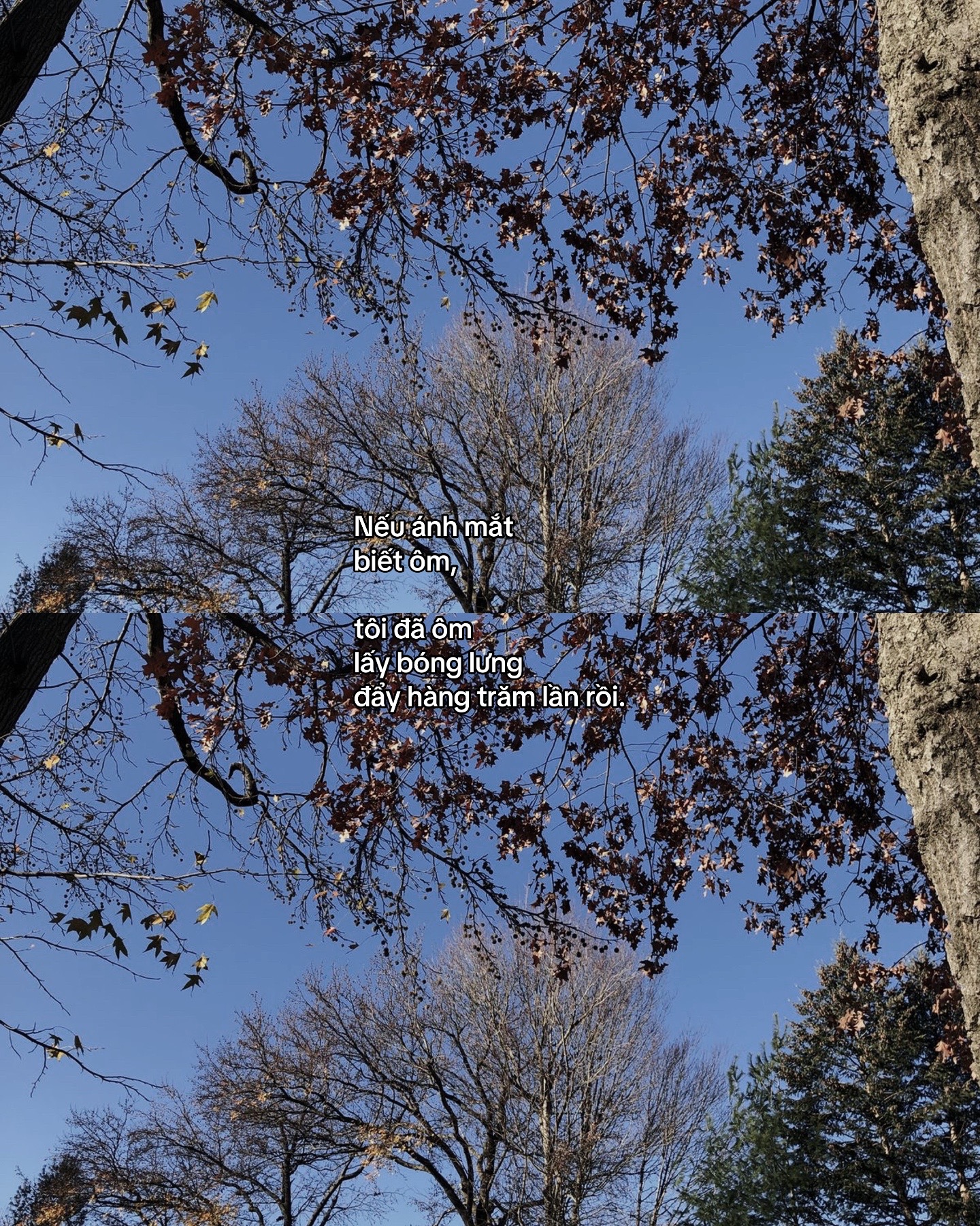 @𝙉