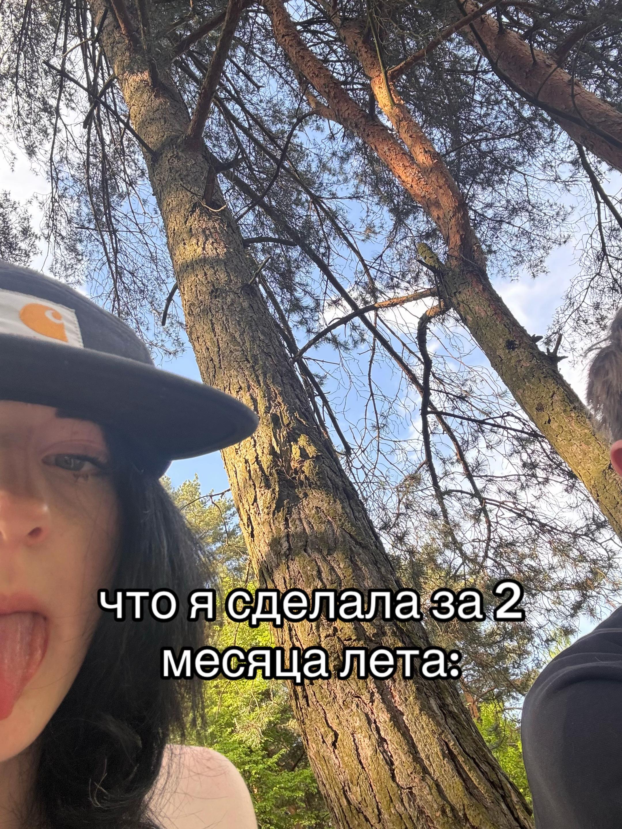 @чернааая🙏