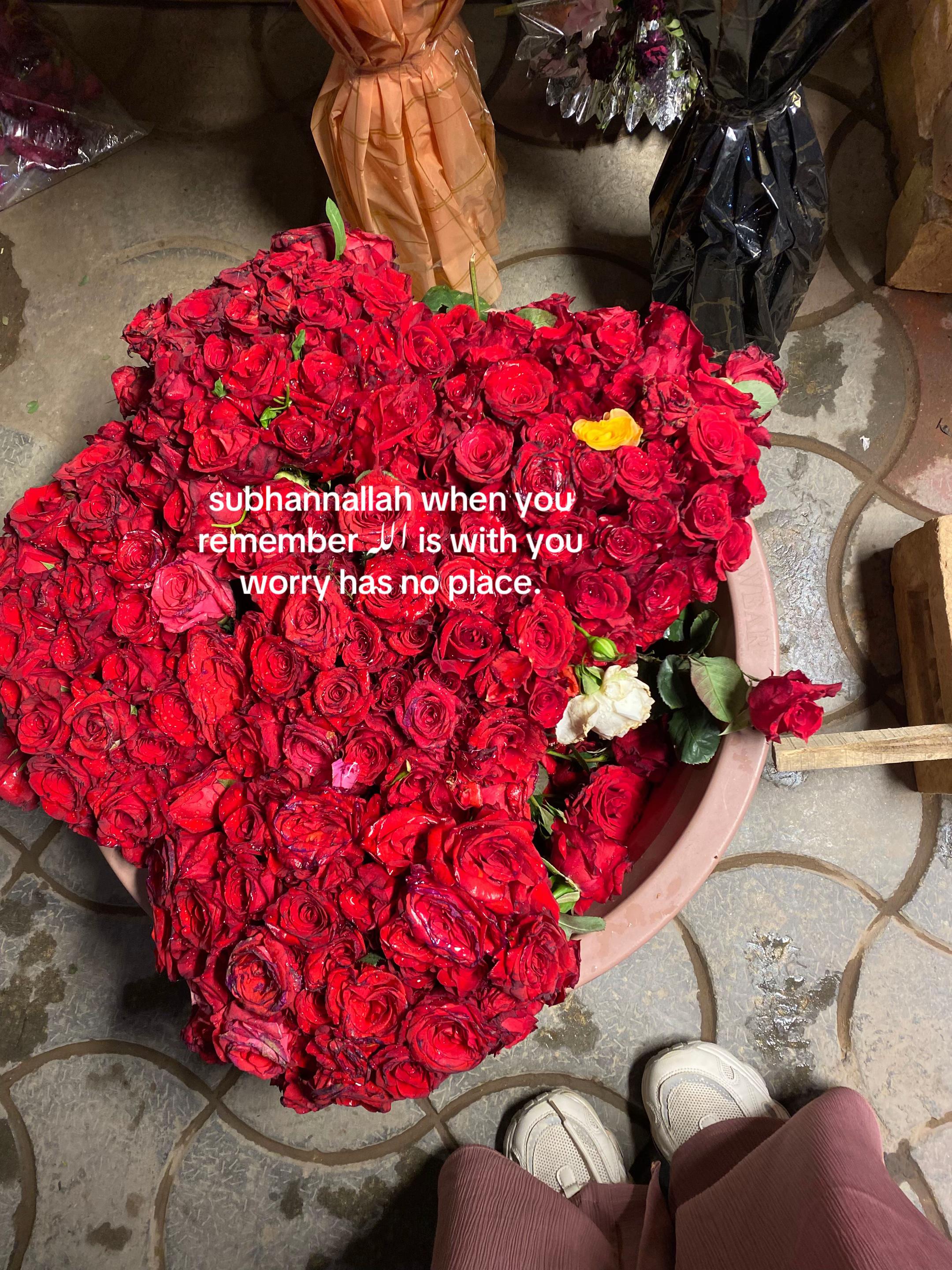 @unknown user