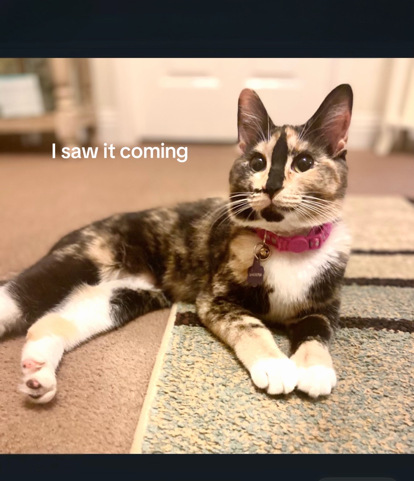 @SnickersTheSmilingCat