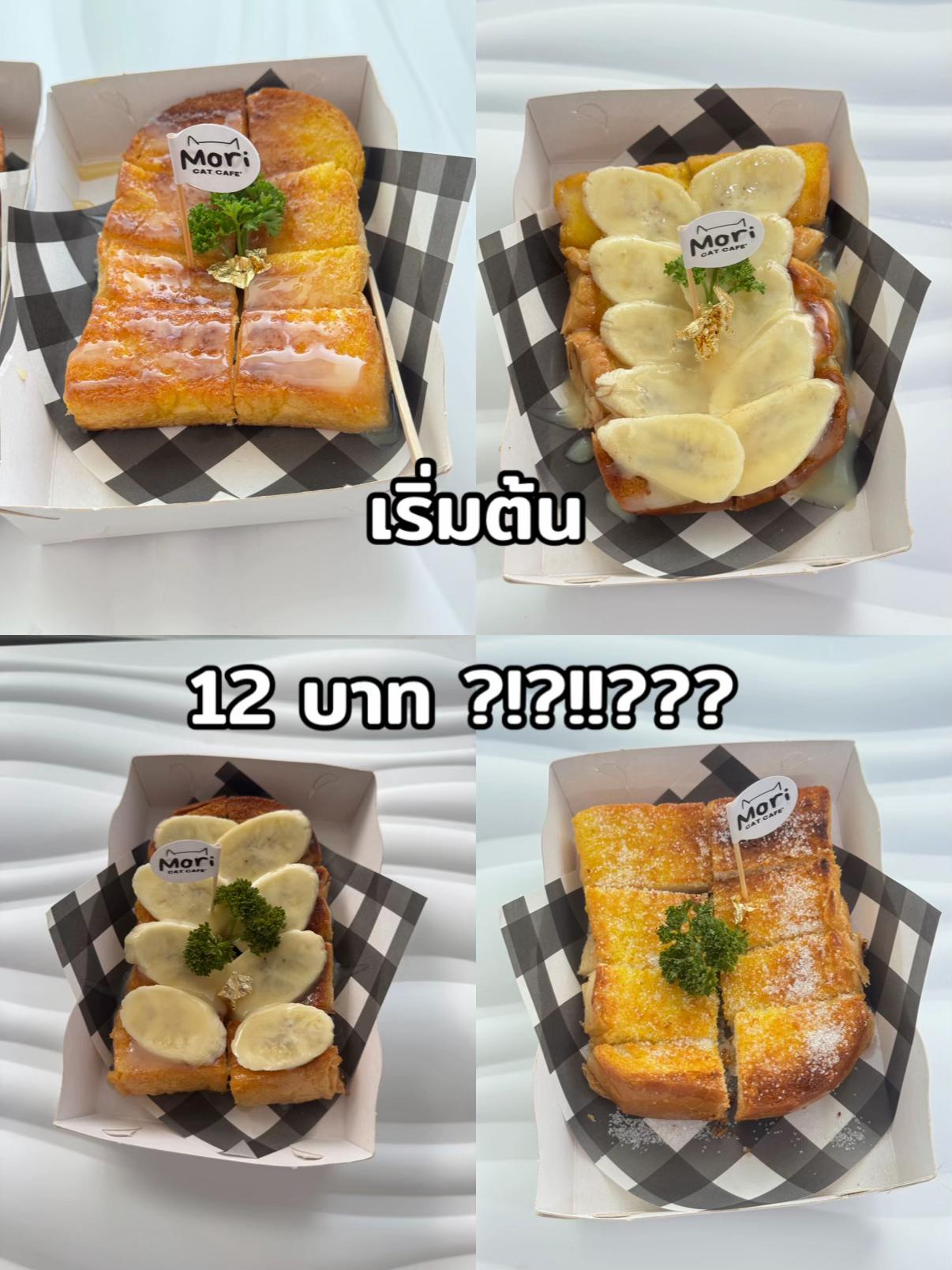 @คาเฟ่แมวโมริ Mori cat cafe'