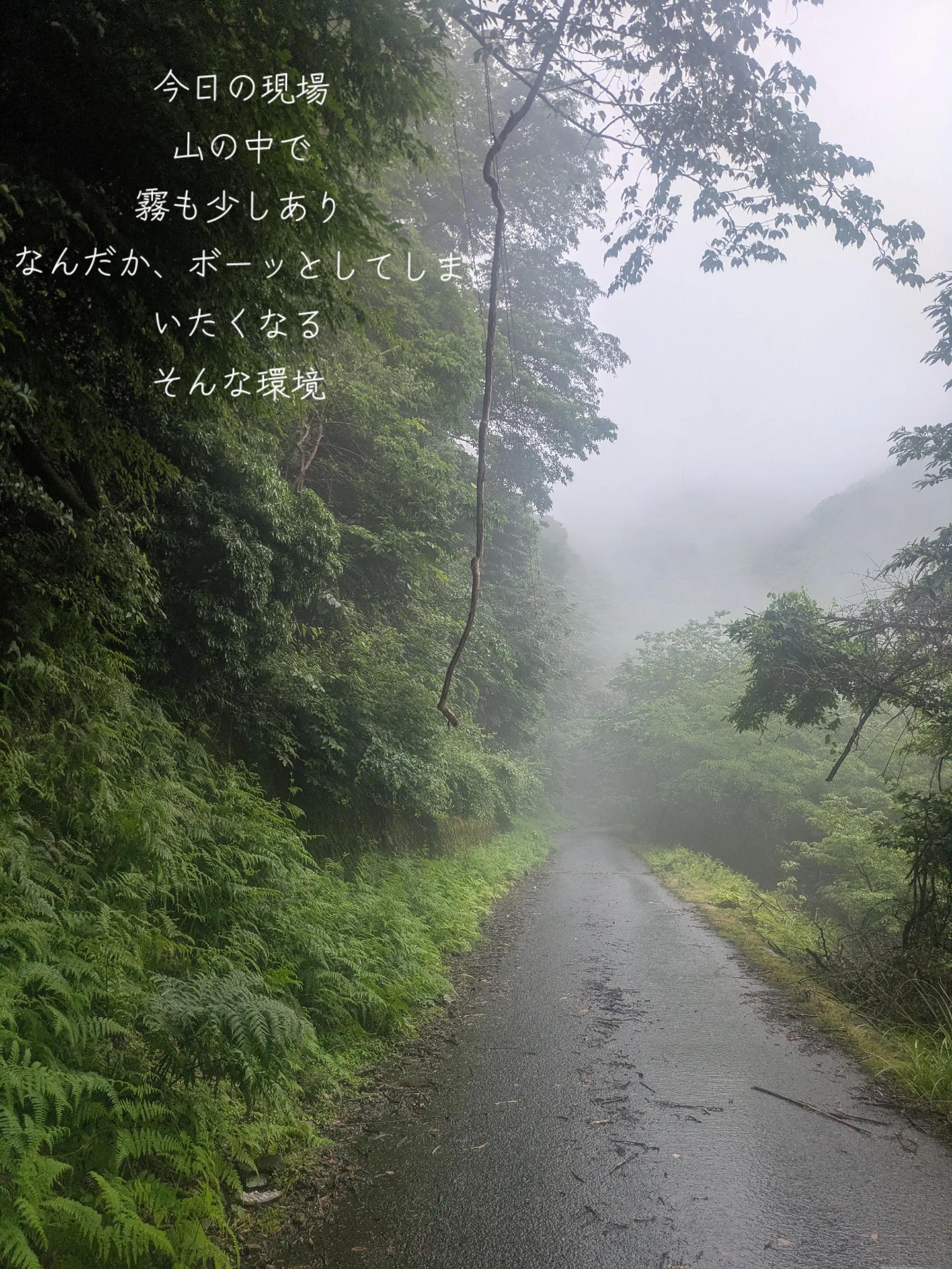 @イカロス 5AM