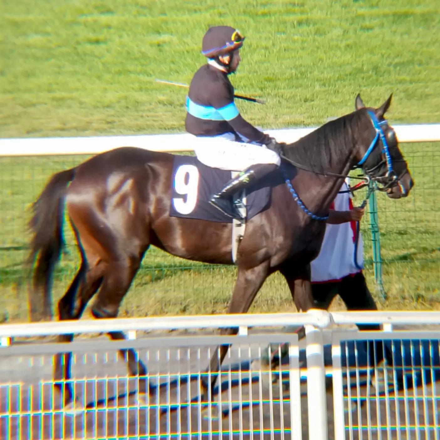 @brs horse racing