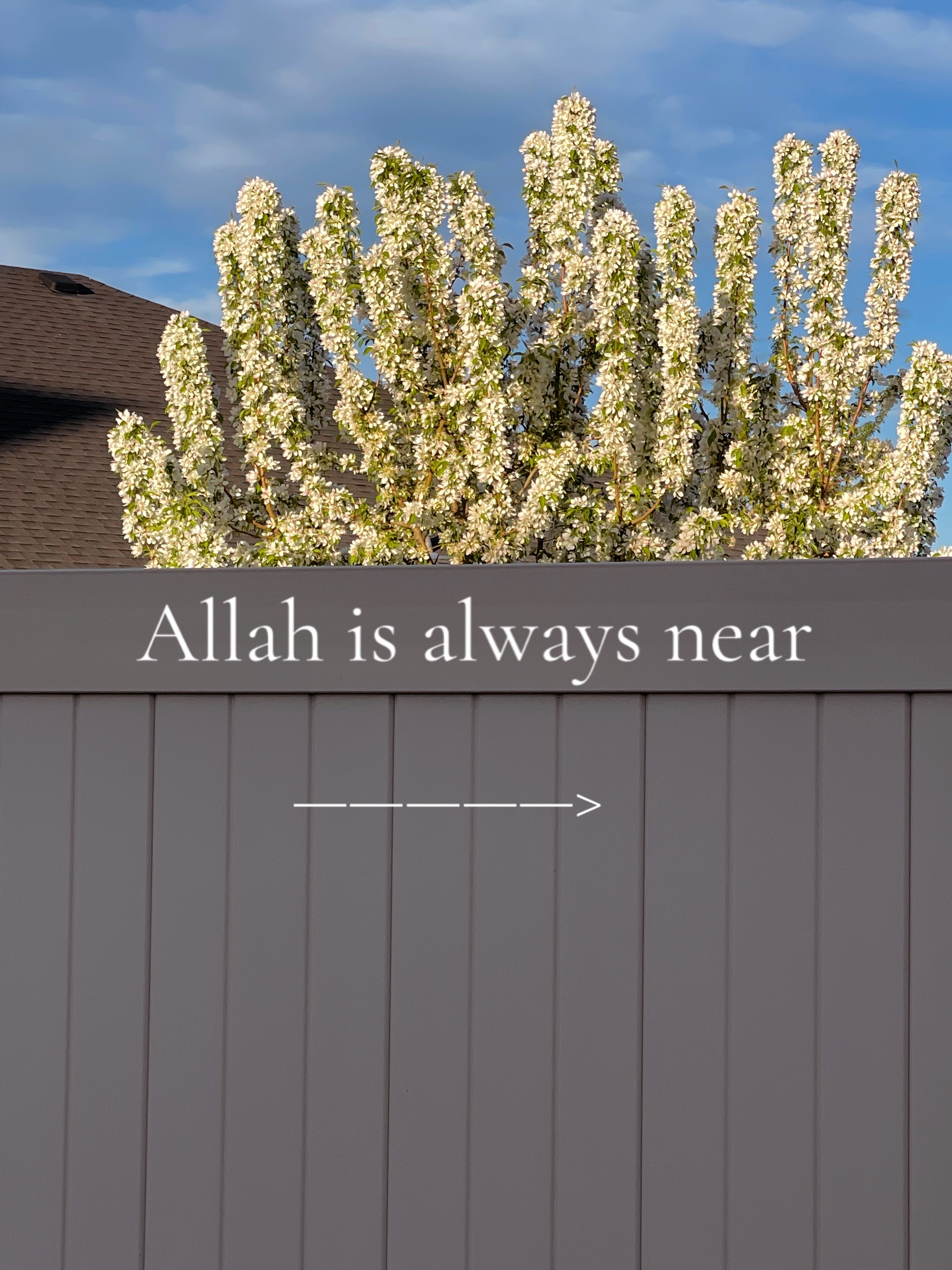 @Muslimah girl