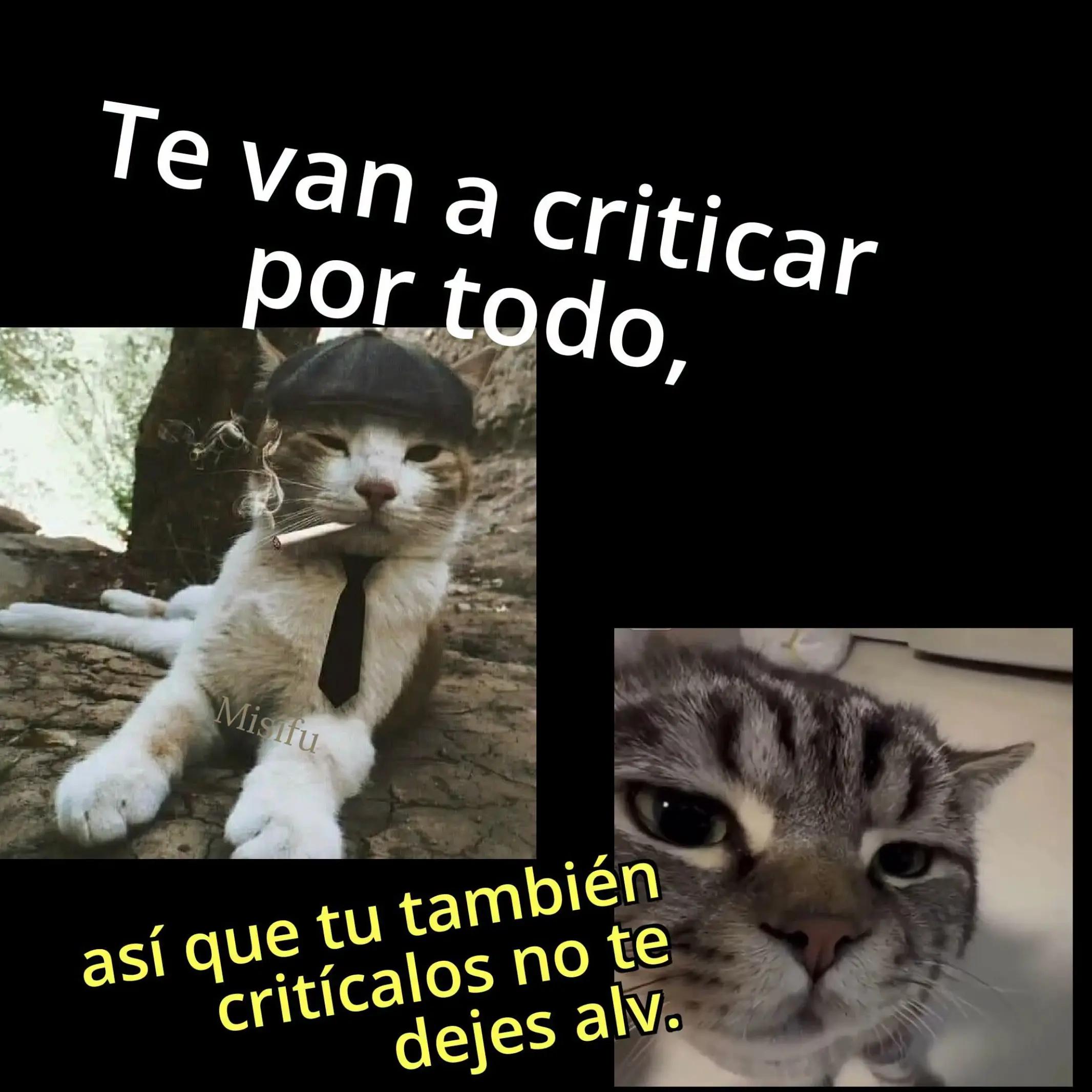 @kolfrosta