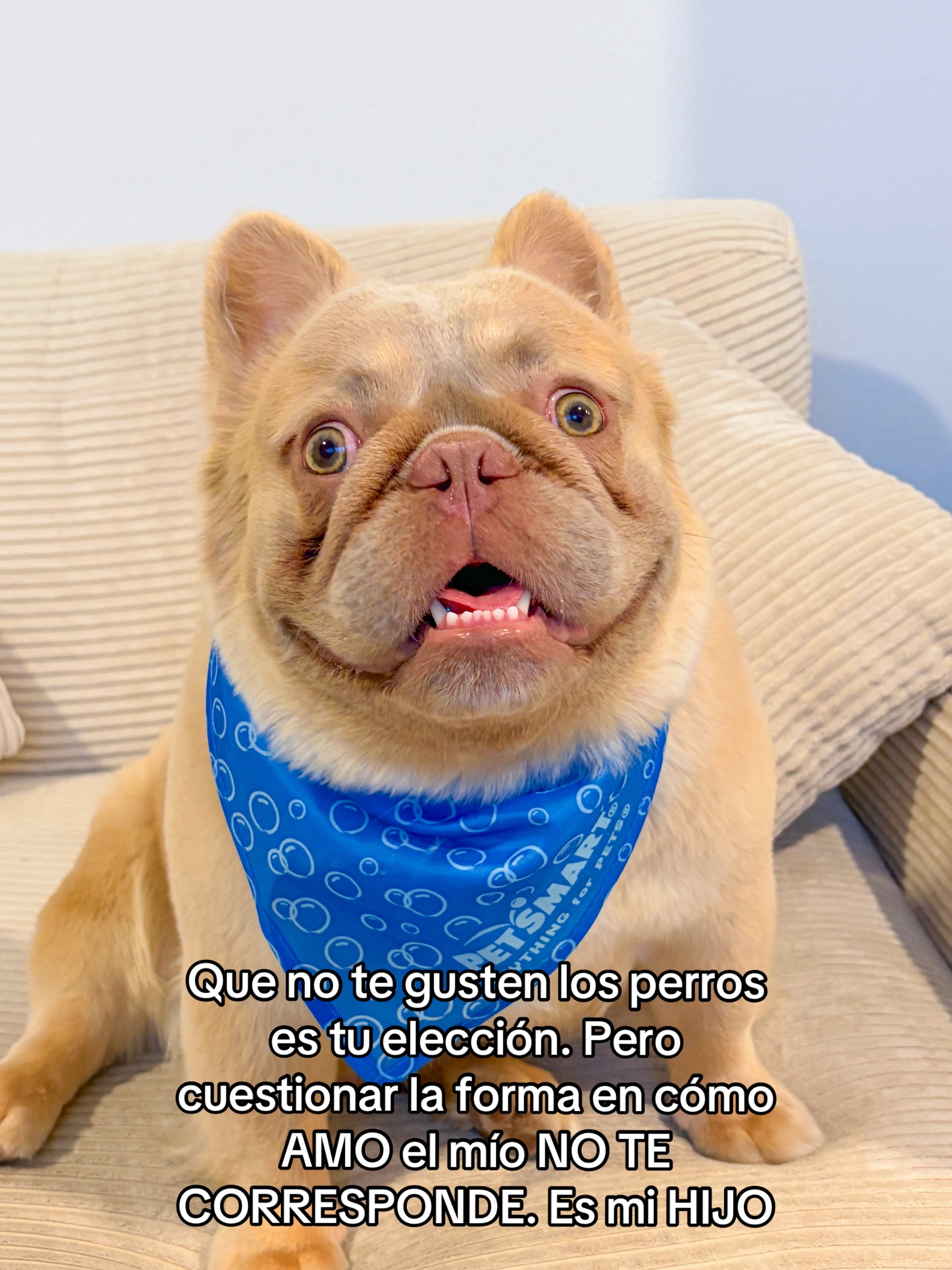 @Sharon Naomi Barrios