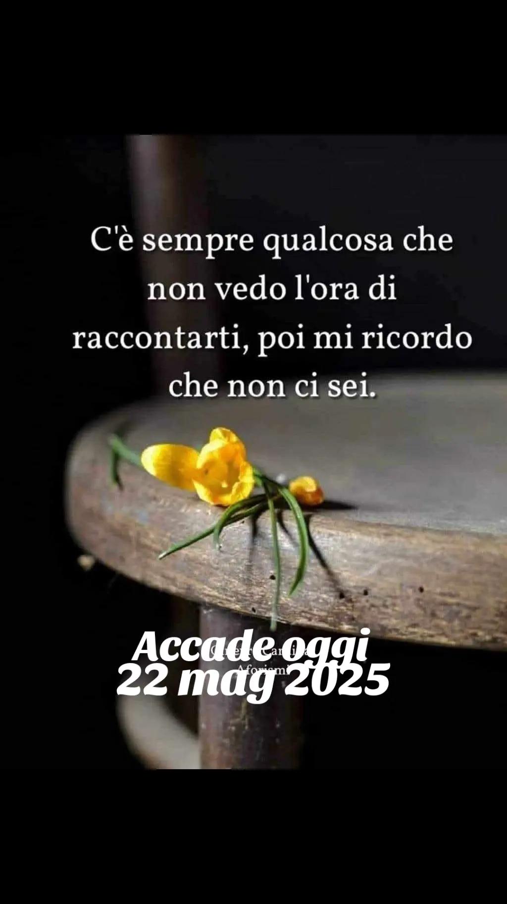 @soniacereghino7